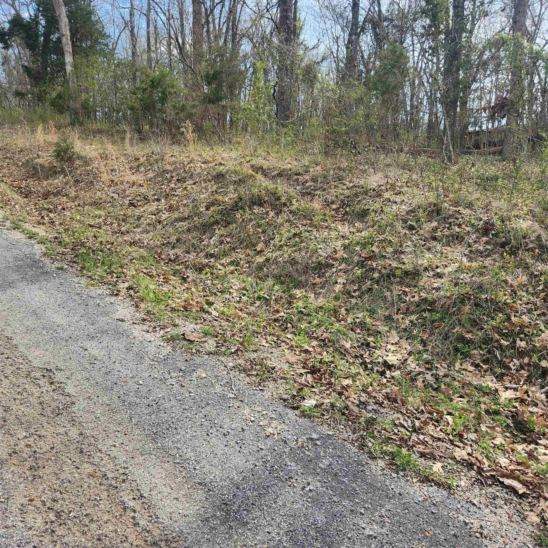L-6, B-4 Tomahawk Drive Property Photo 11
