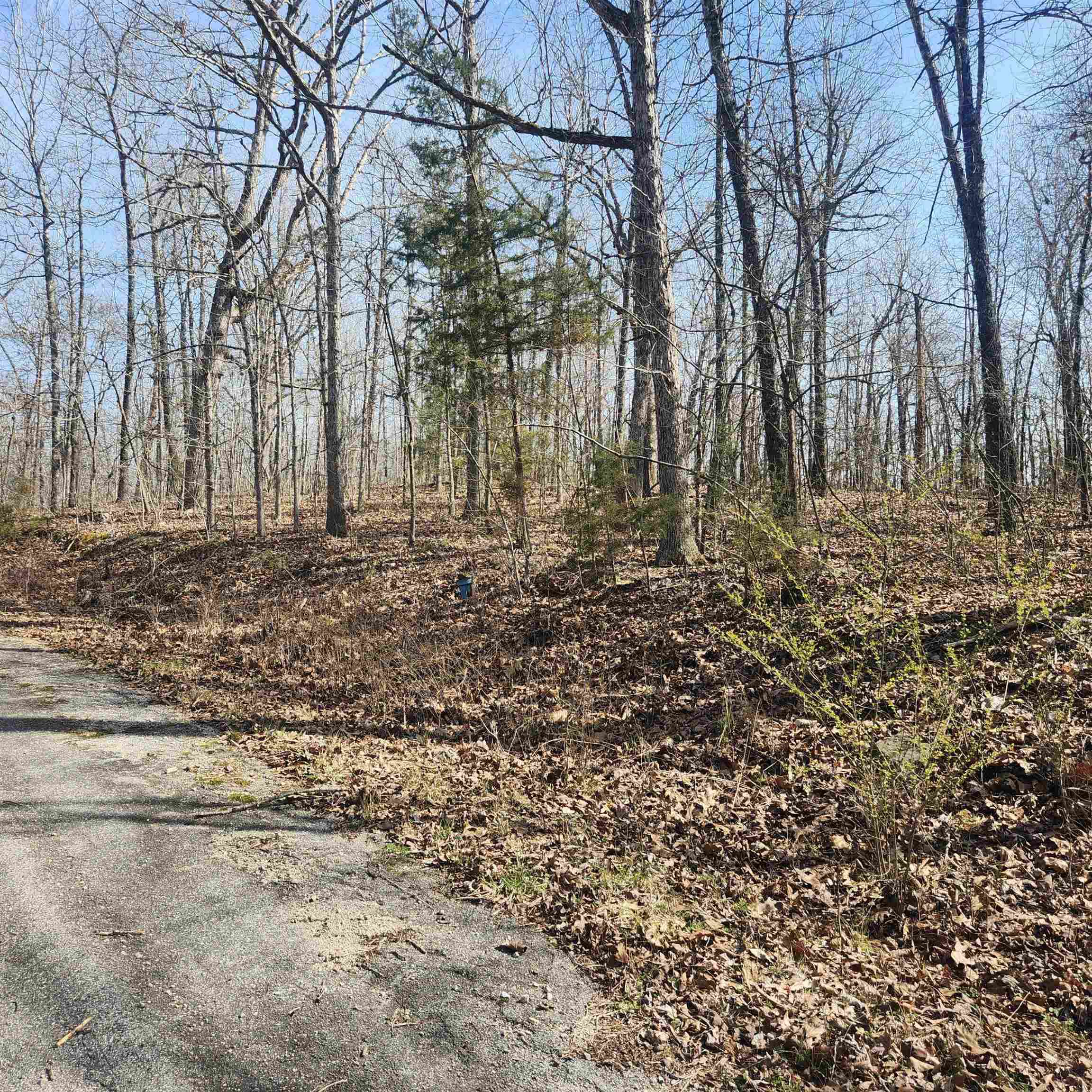 L-4, B-6 Chickasaw Drive Property Photo 4