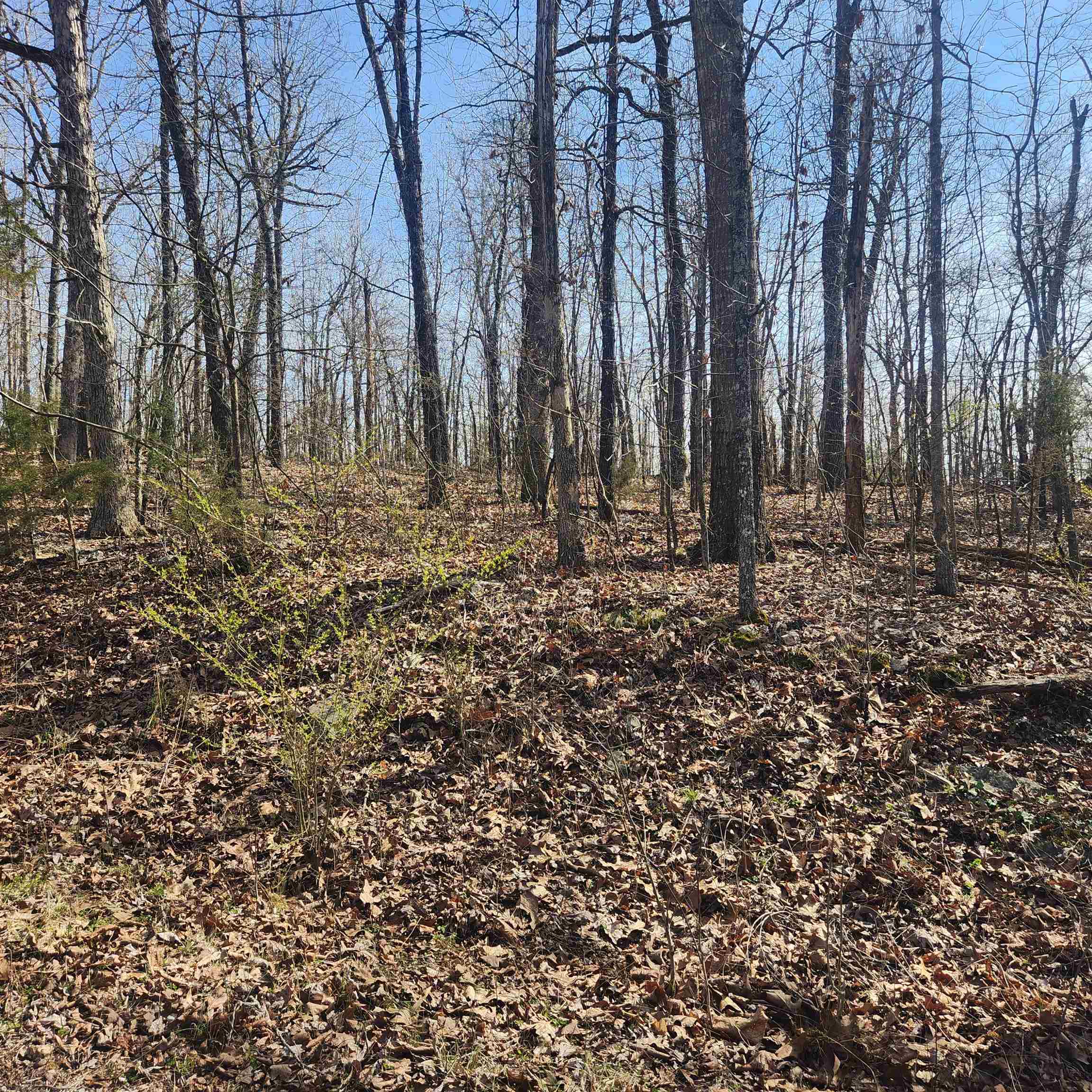 L-4, B-6 Chickasaw Drive Property Photo 5