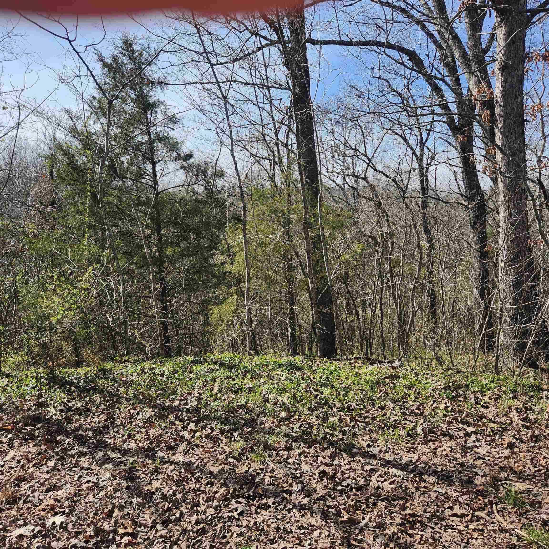 L-3, B-24 Algonquin Circle Property Photo 2
