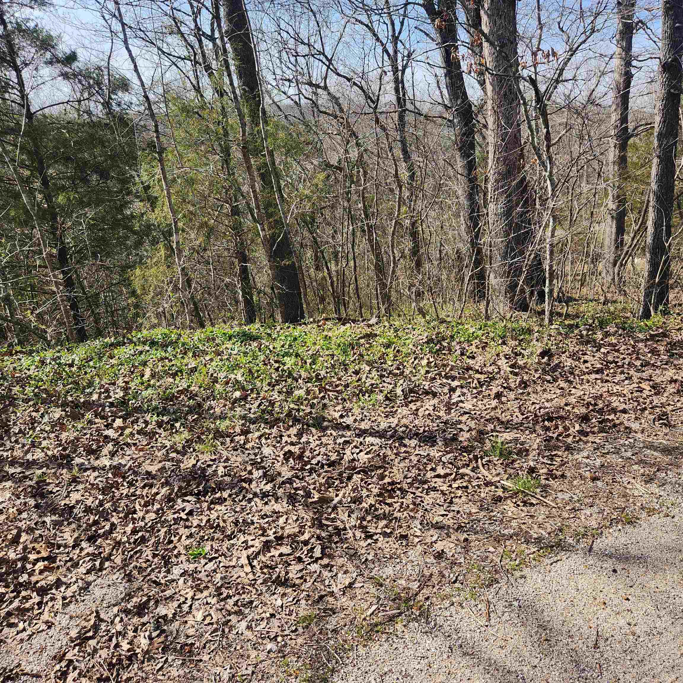L-3, B-24 Algonquin Circle Property Photo 3