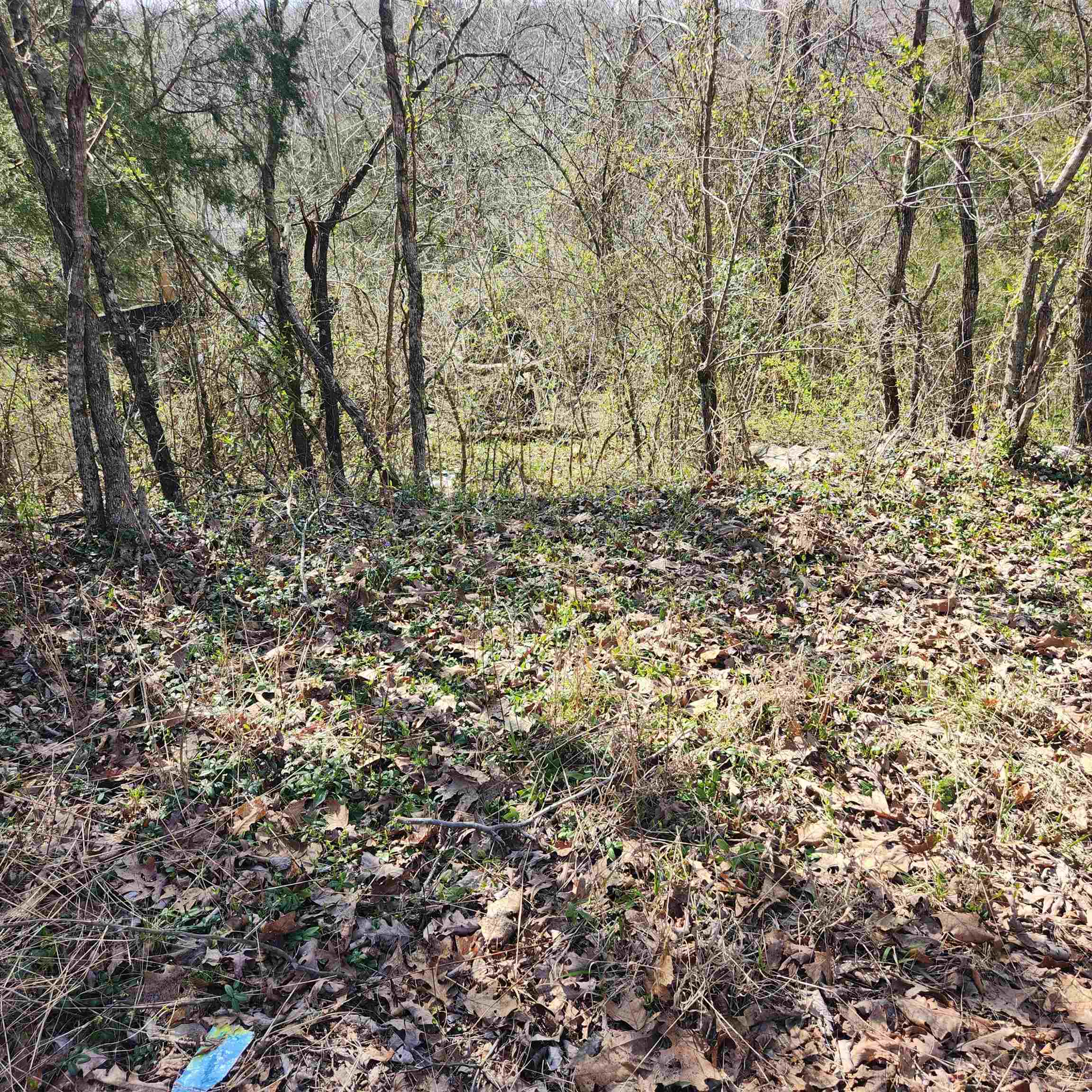 L-3, B-24 Algonquin Circle Property Photo 4