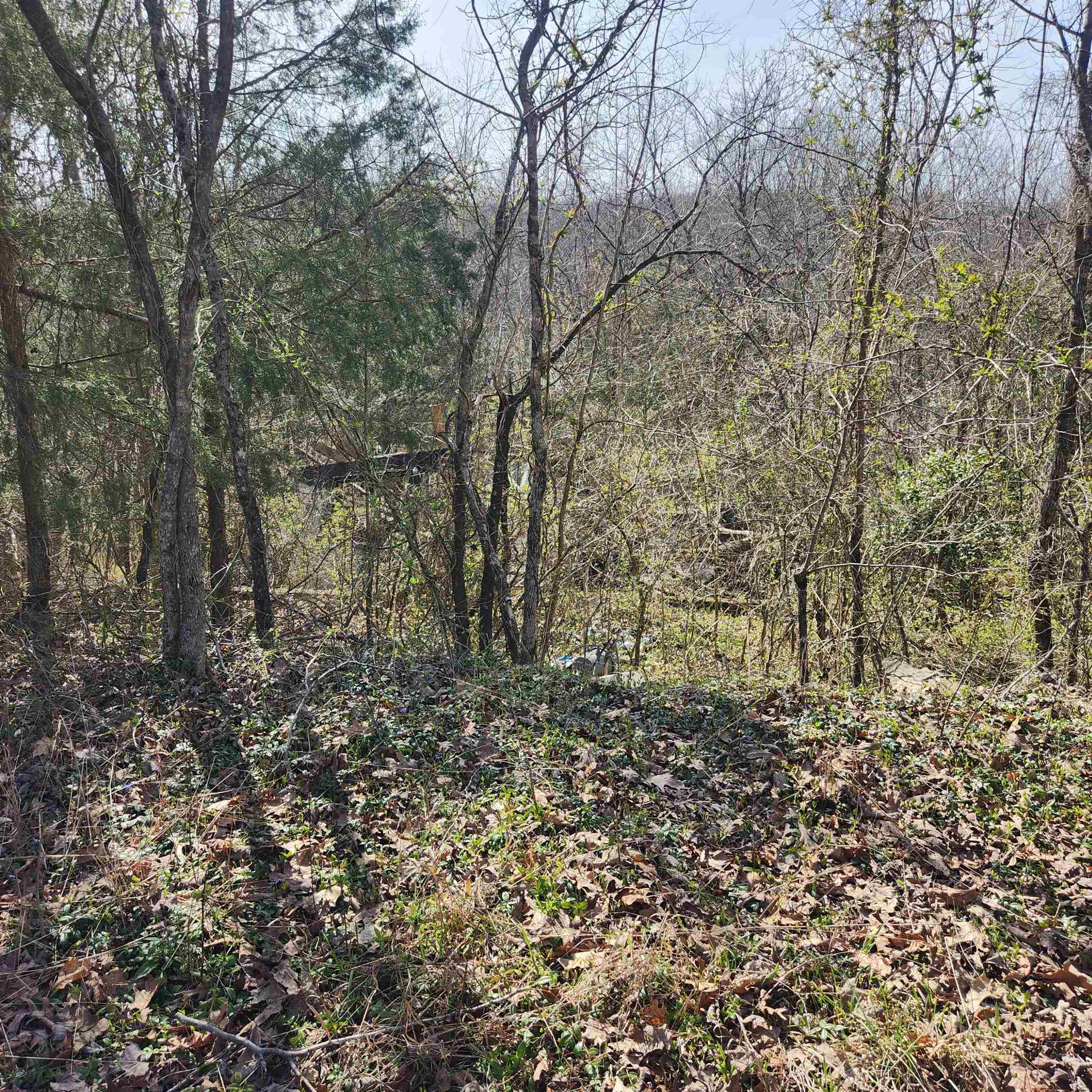 L-3, B-24 Algonquin Circle Property Photo 5