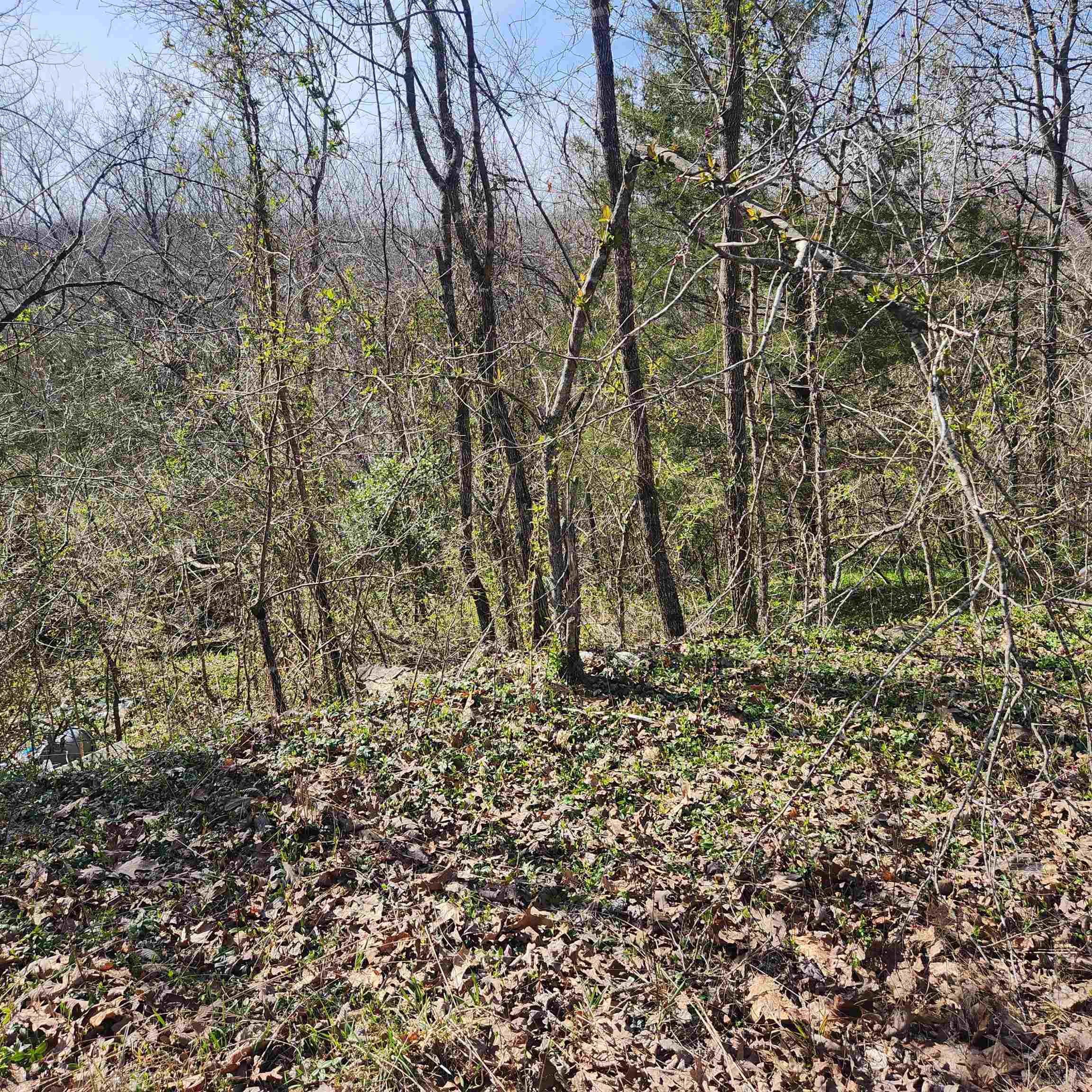 L-3, B-24 Algonquin Circle Property Photo 6