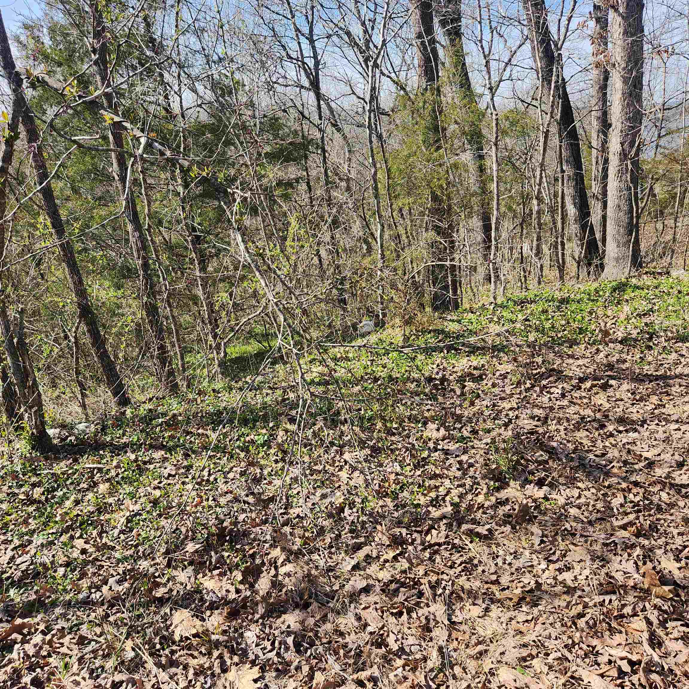 L-3, B-24 Algonquin Circle Property Photo 7