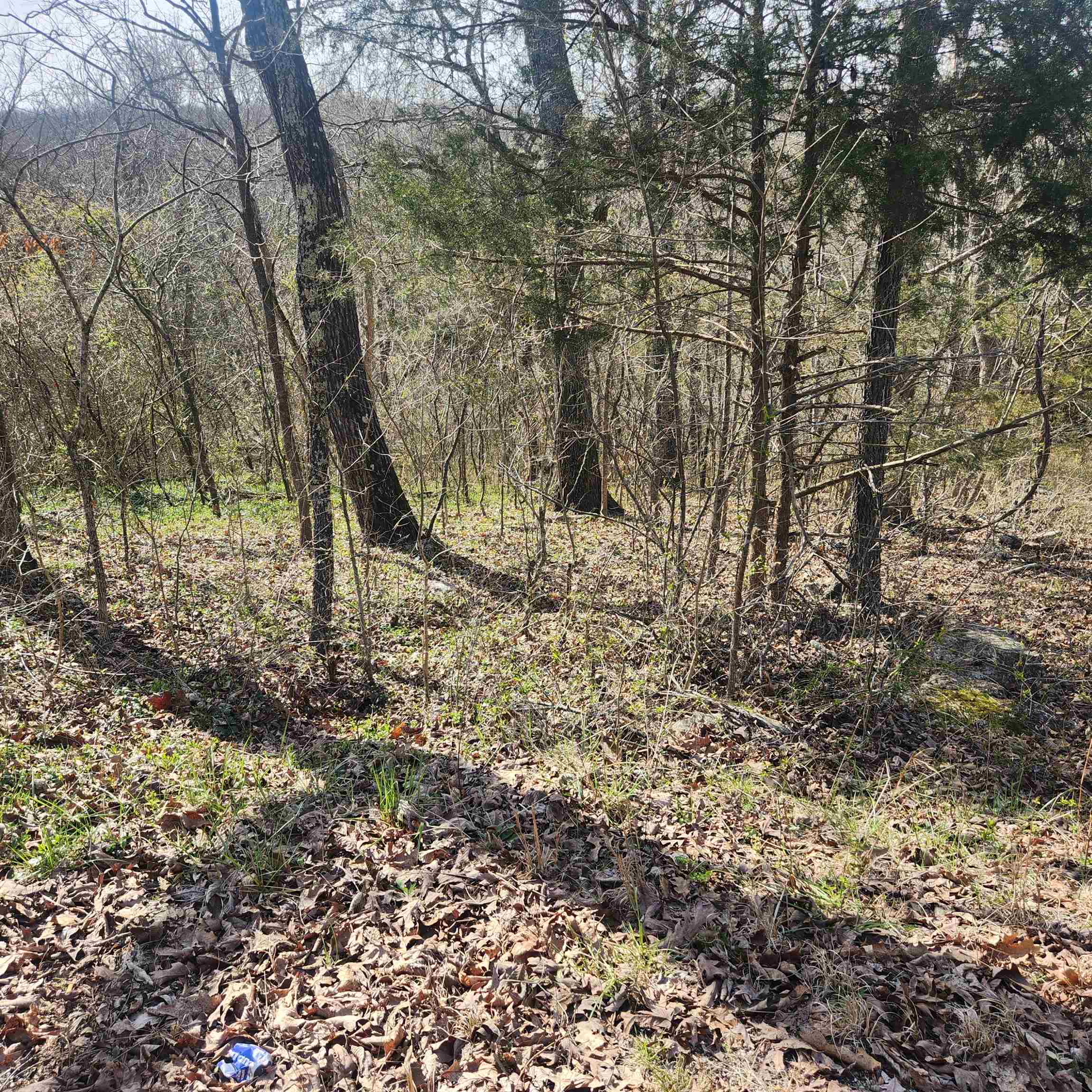 L-3, B-24 Algonquin Circle Property Photo 8