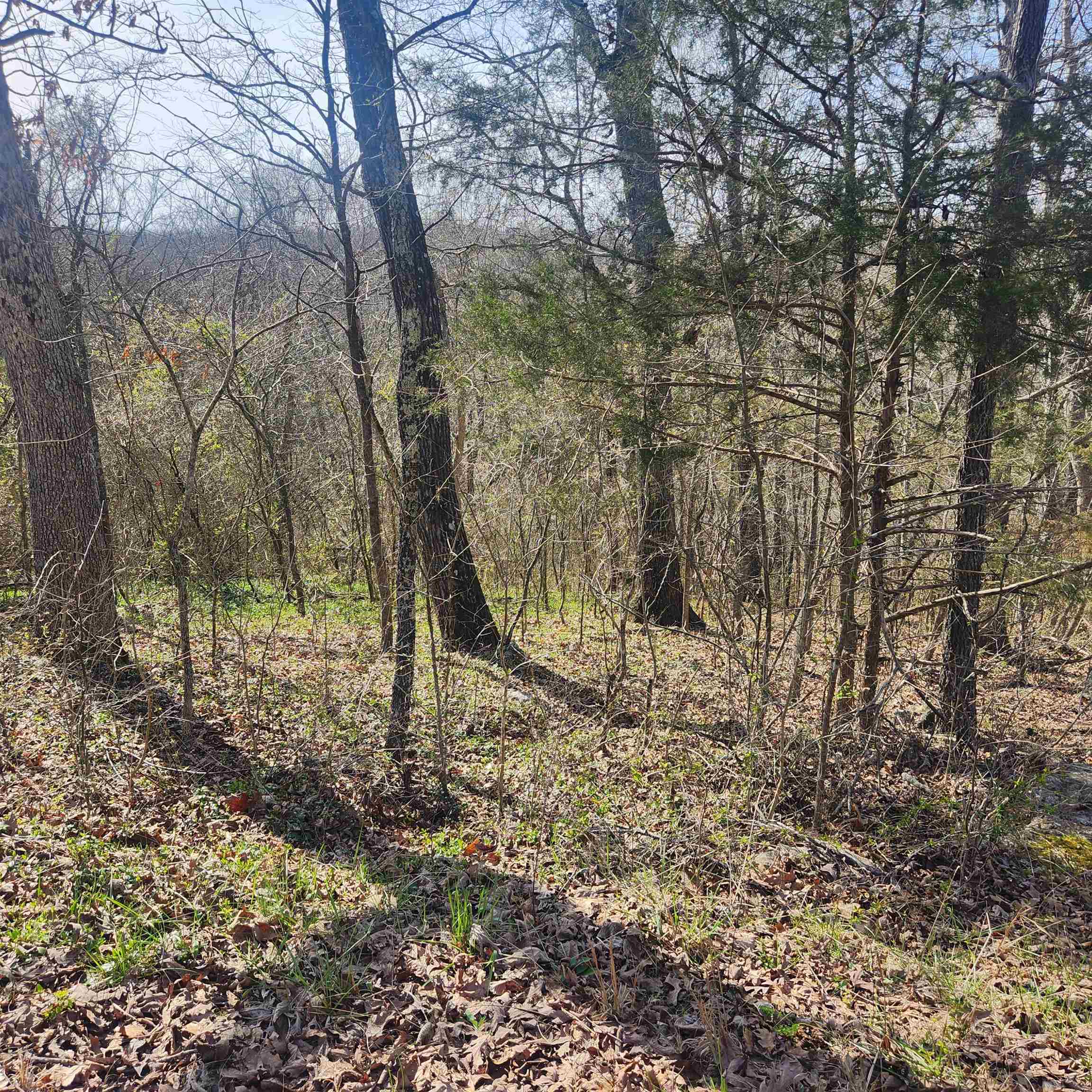 L-3, B-24 Algonquin Circle Property Photo 9