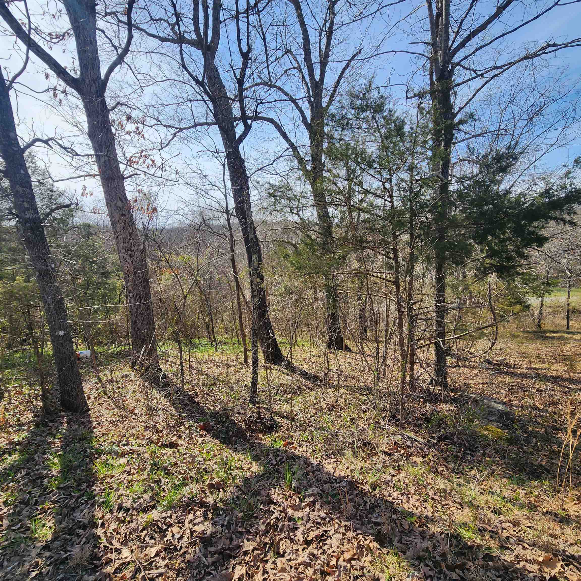 L-3, B-24 Algonquin Circle Property Photo 13
