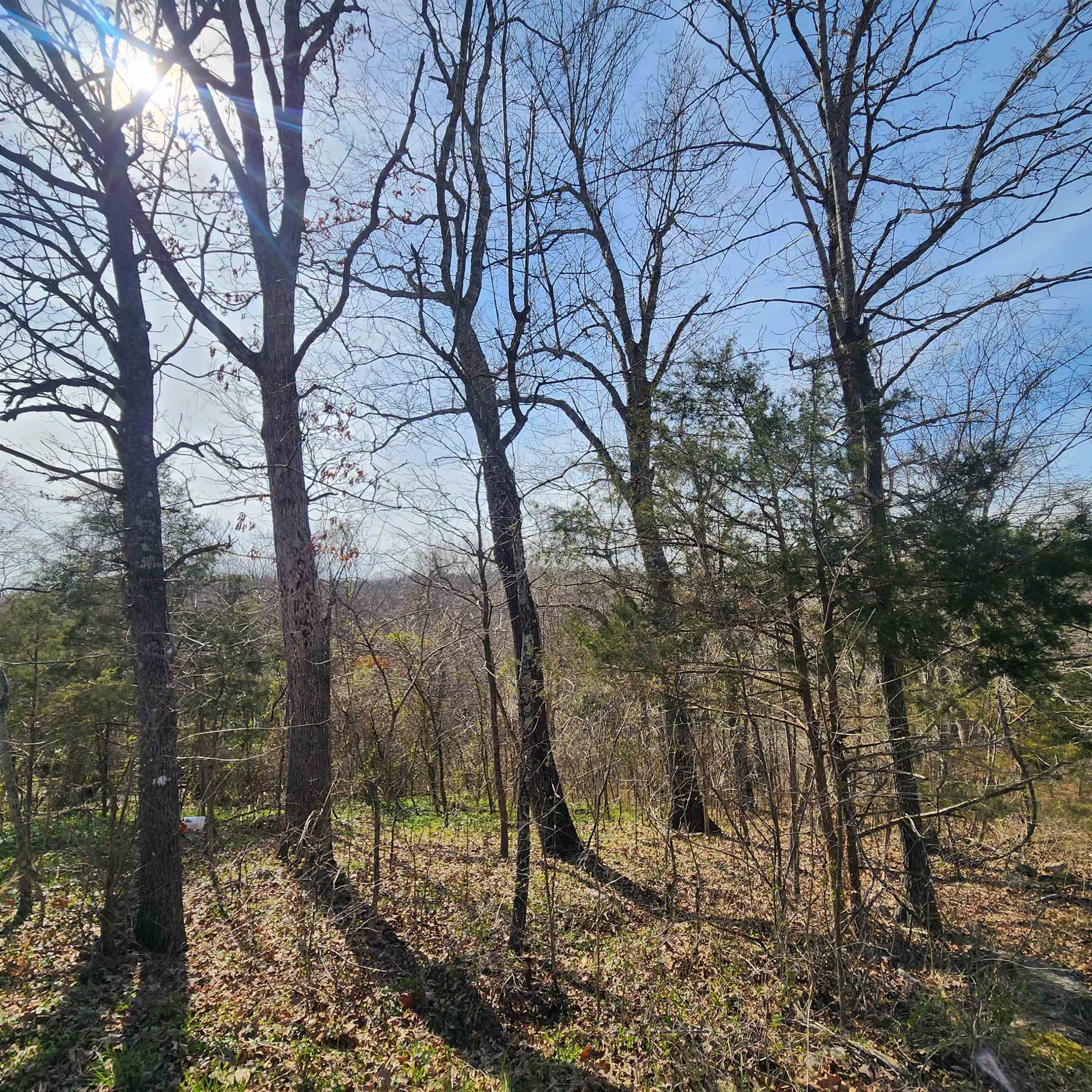L-3, B-24 Algonquin Circle Property Photo 14