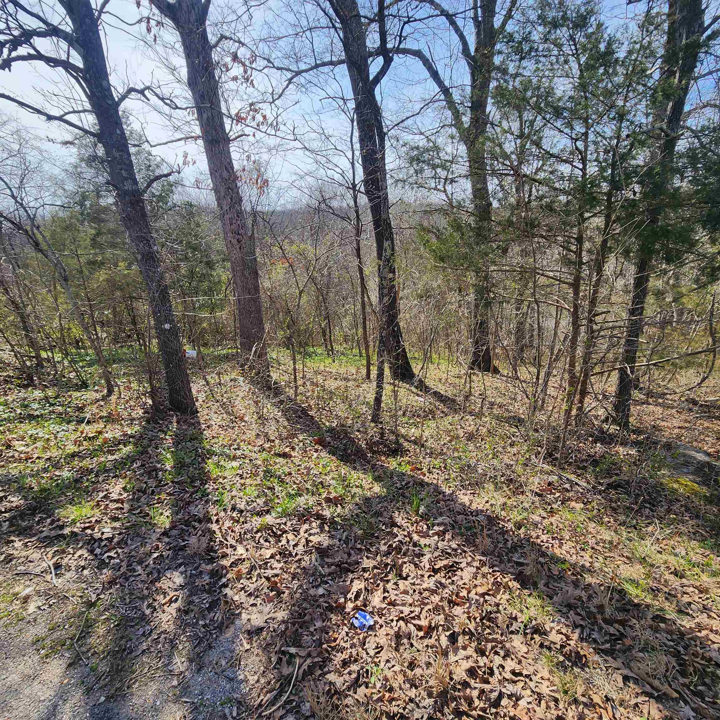 L-3, B-24 Algonquin Circle Property Photo 15