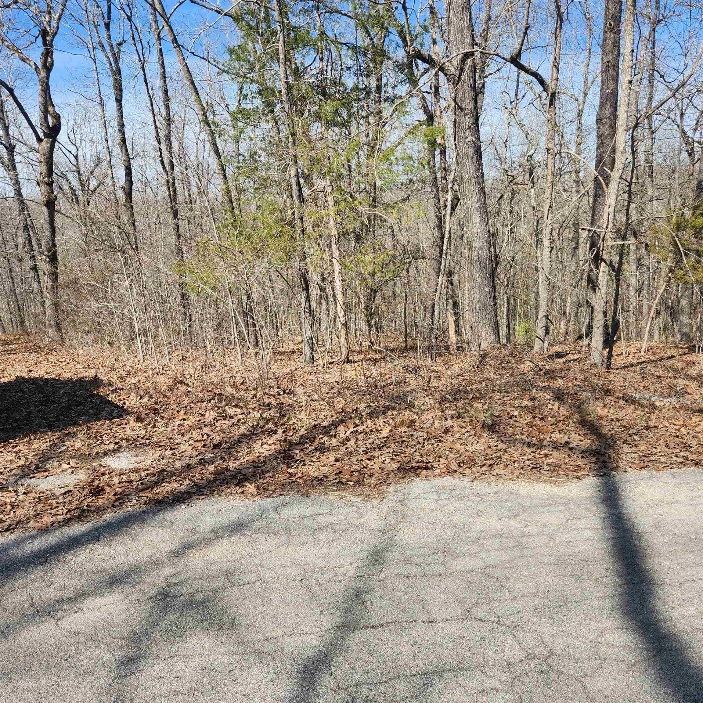 L-10, B-26 White Dove Lane Property Photo 1
