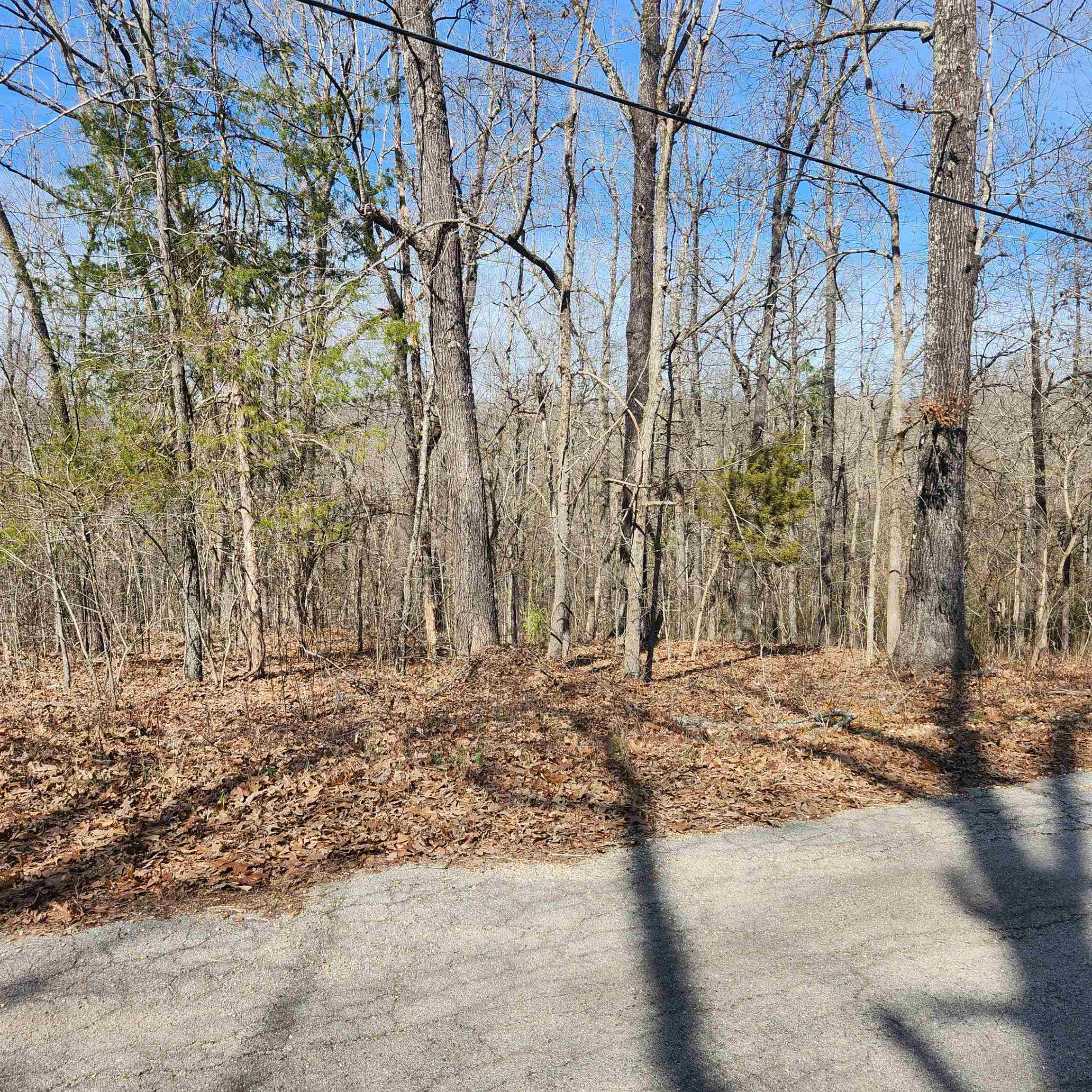 L-10, B-26 White Dove Lane Property Photo 3