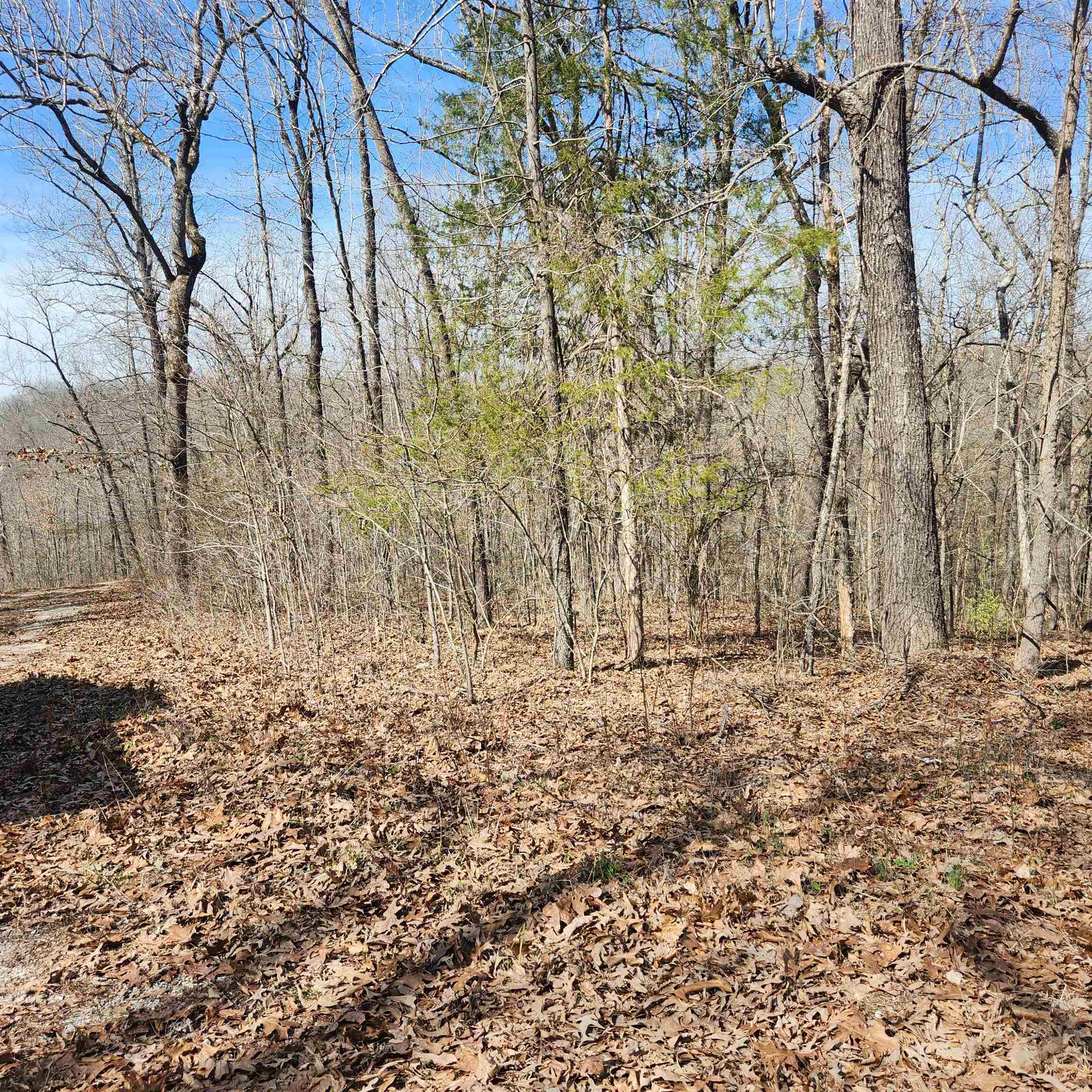 L-10, B-26 White Dove Lane Property Photo 4