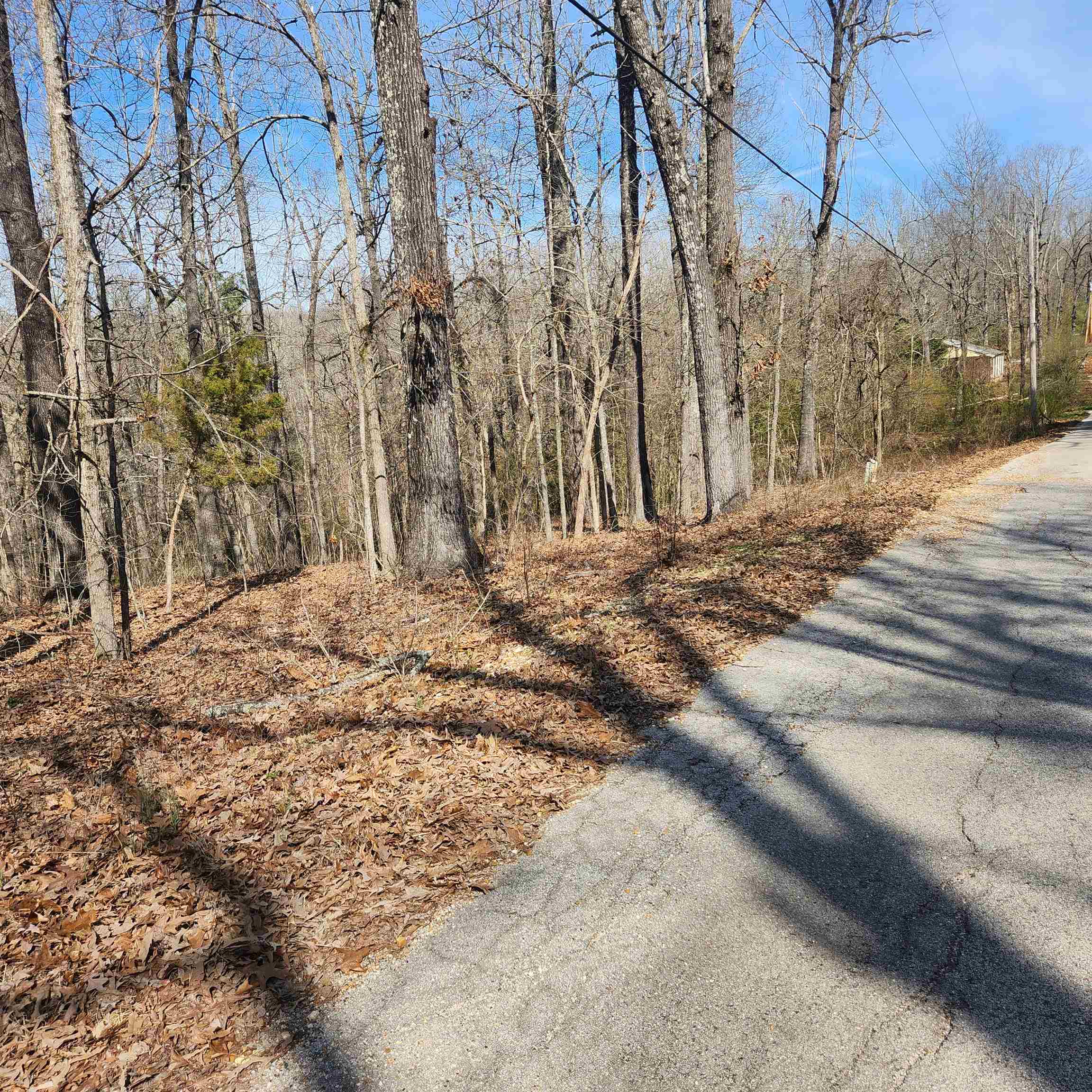 L-10, B-26 White Dove Lane Property Photo 5