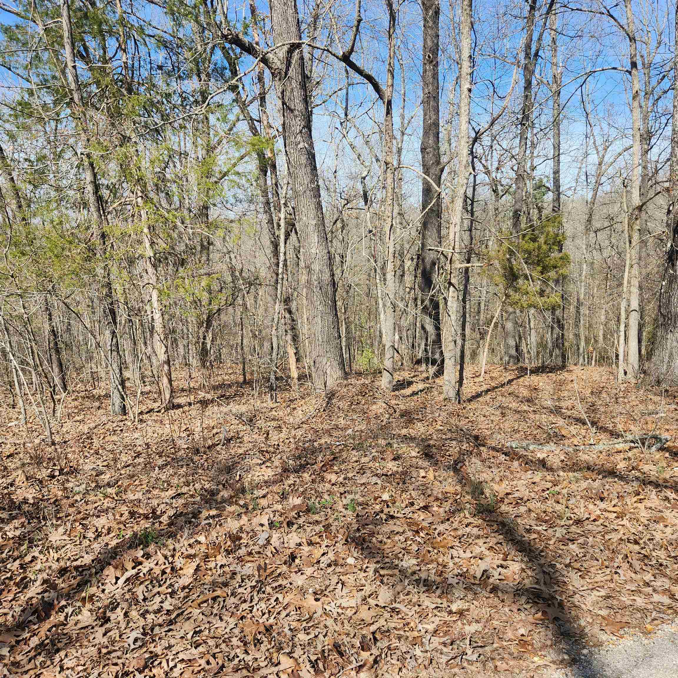 L-10, B-26 White Dove Lane Property Photo 6