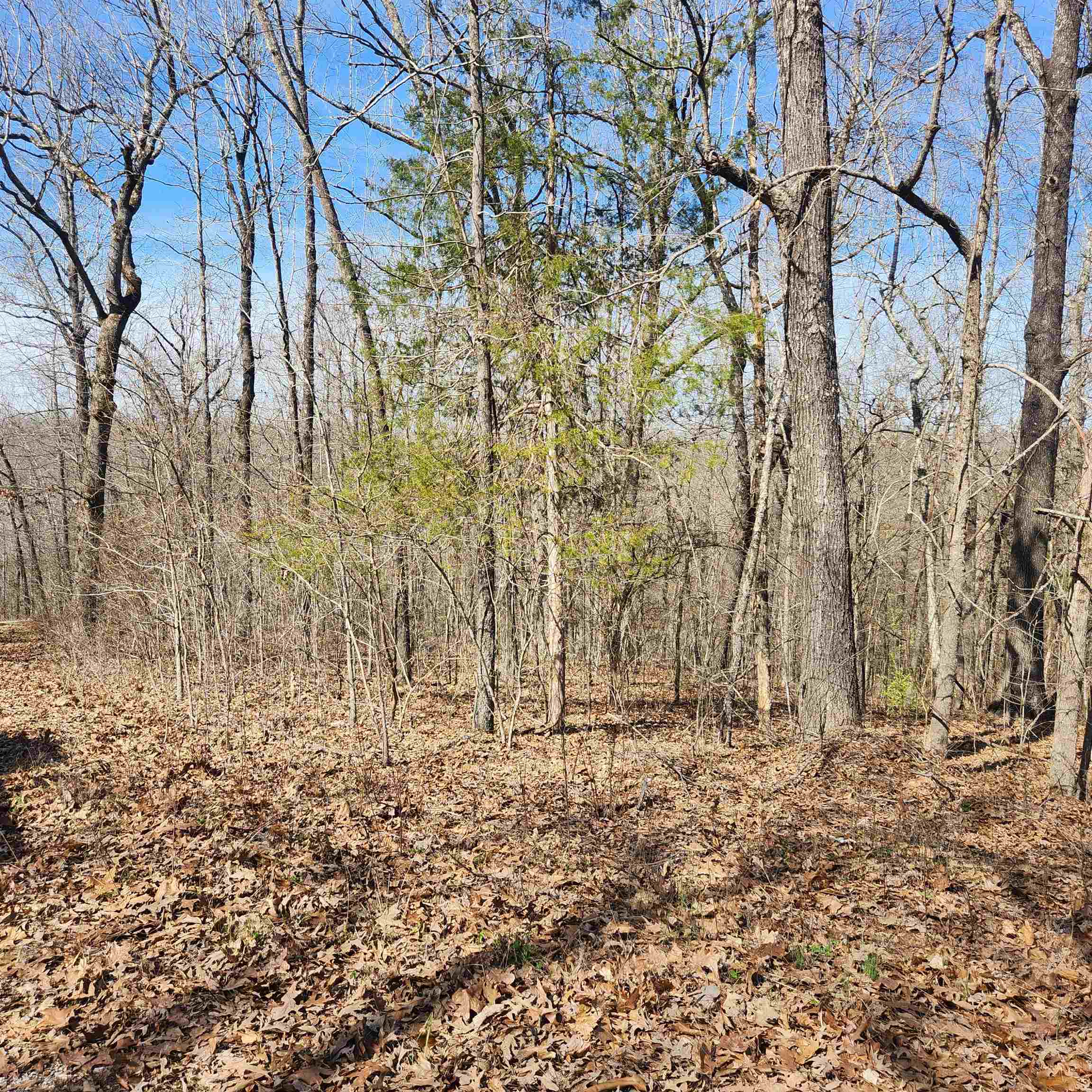 L-10, B-26 White Dove Lane Property Photo 7