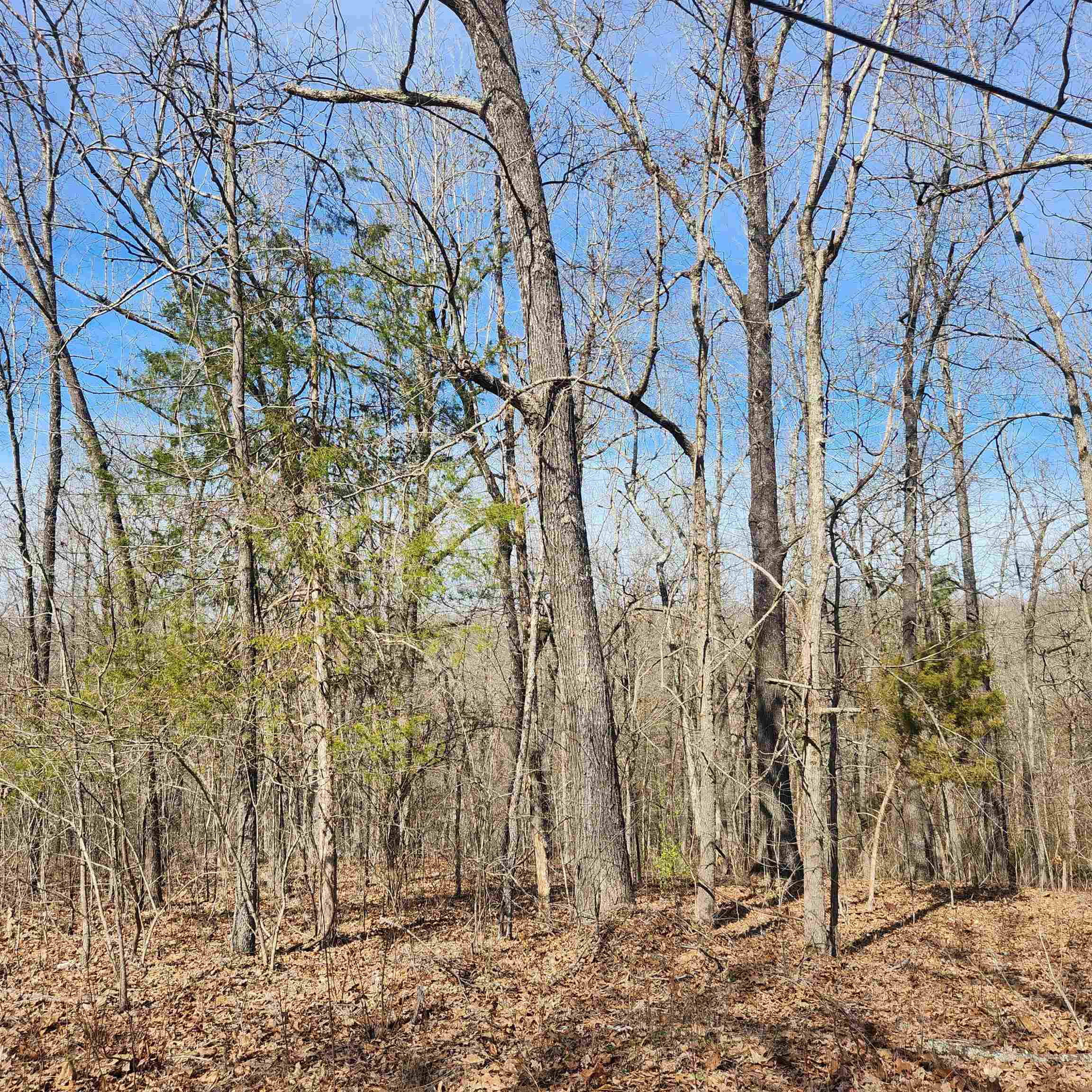 L-10, B-26 White Dove Lane Property Photo 8