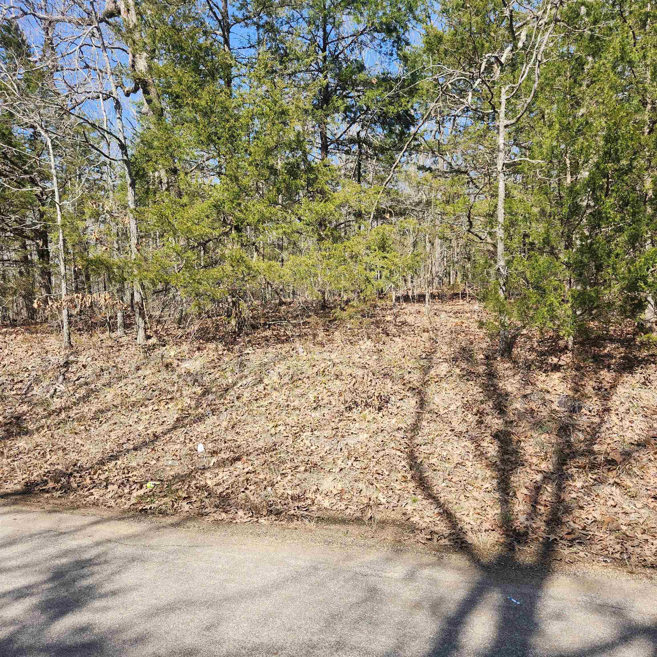 L-10, B-17 Hiawatha Drive Property Photo 4