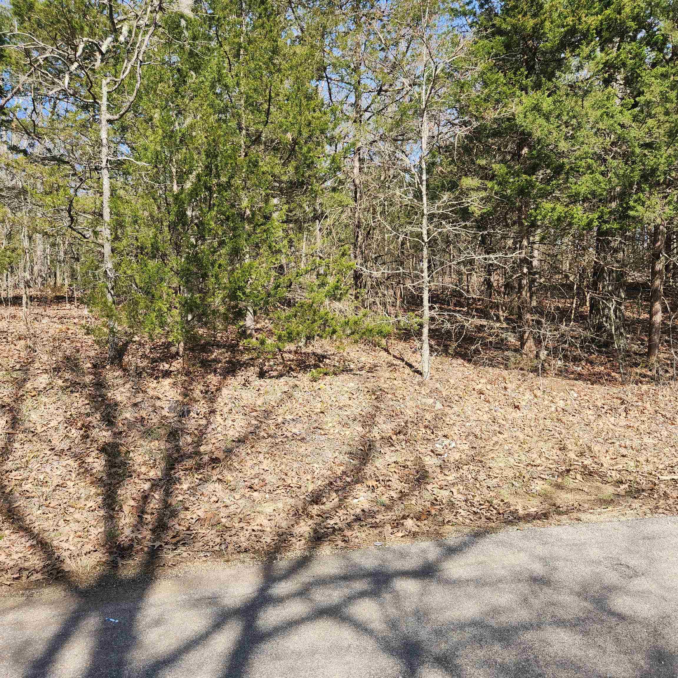 L-10, B-17 Hiawatha Drive Property Photo 5