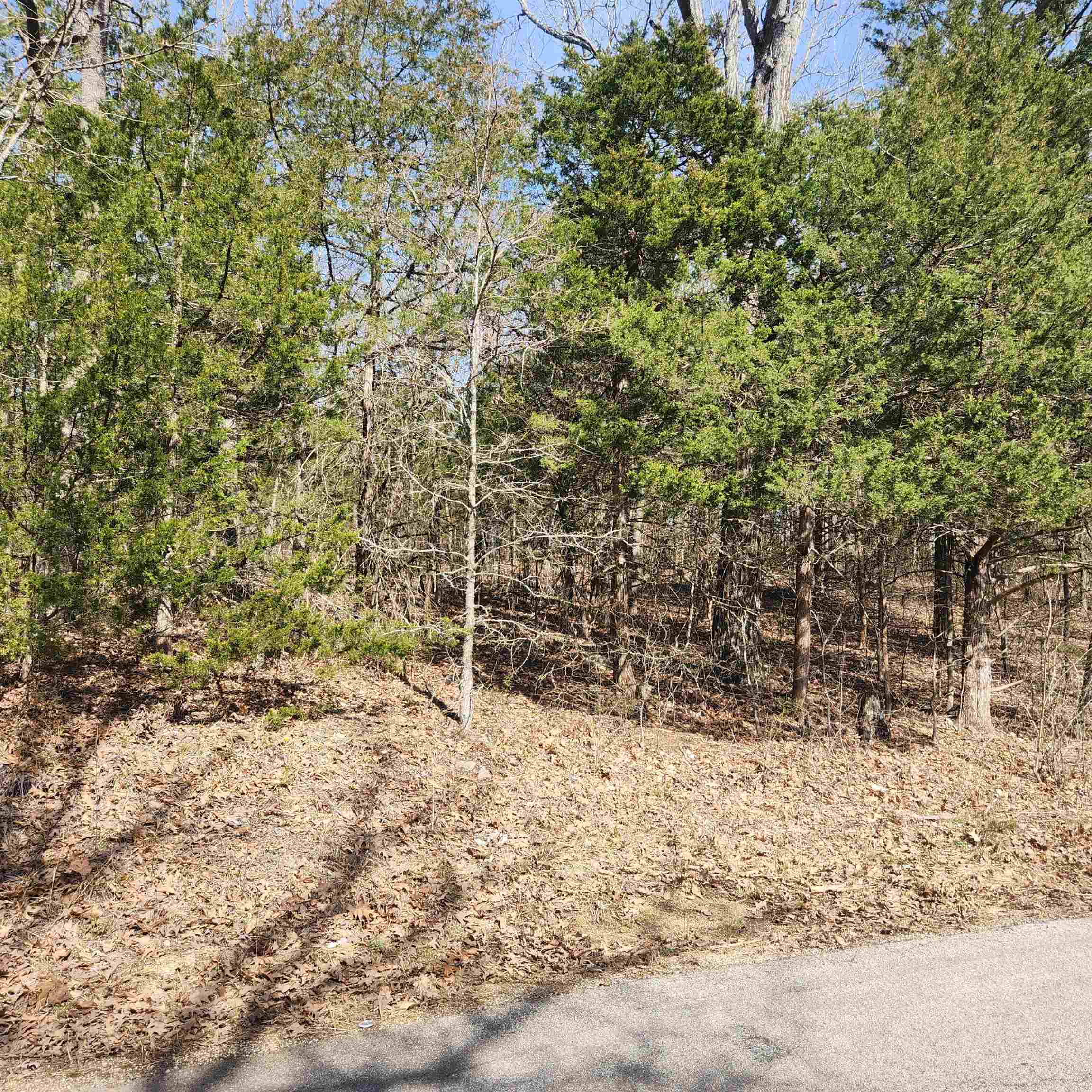 L-10, B-17 Hiawatha Drive Property Photo 7