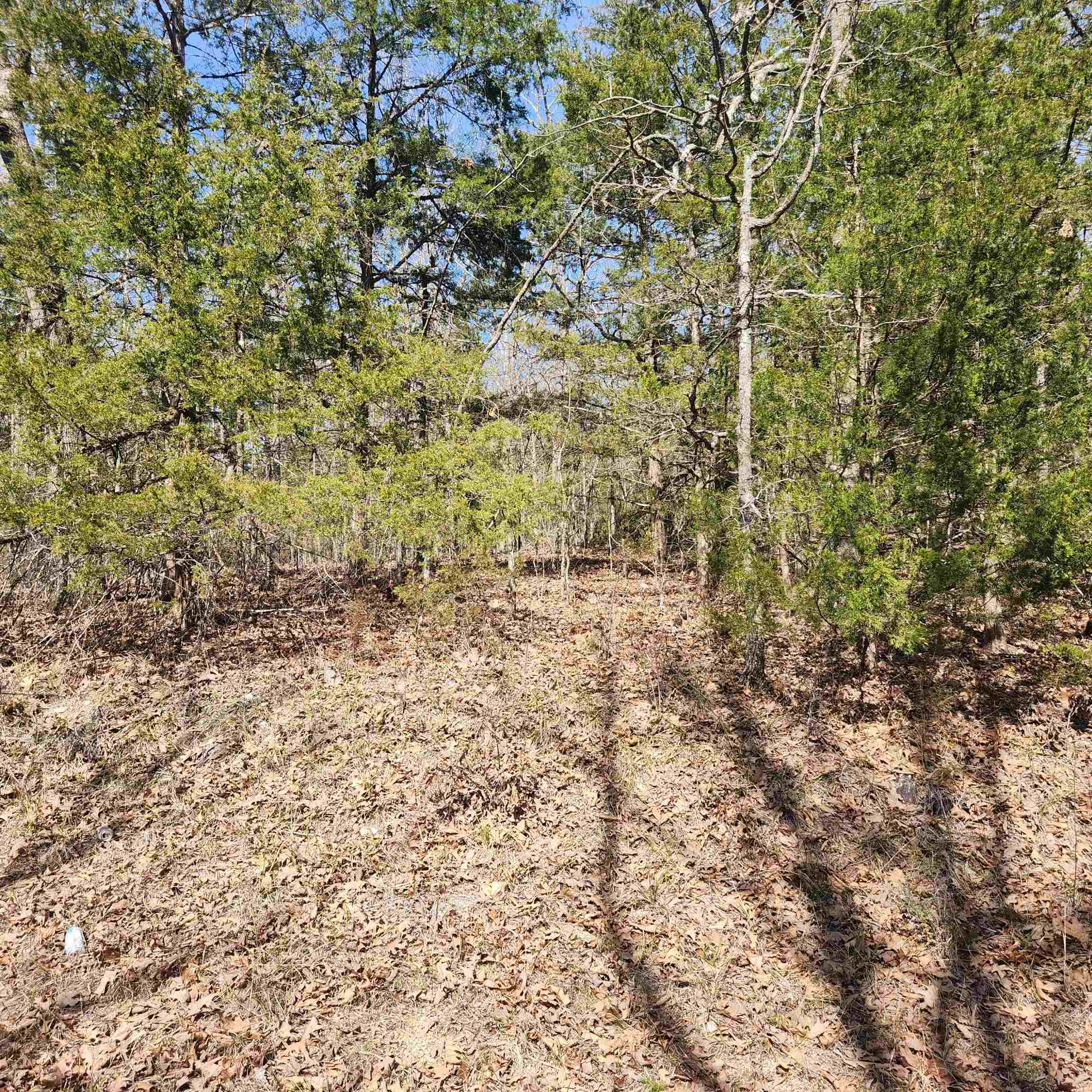 L-10, B-17 Hiawatha Drive Property Photo 8