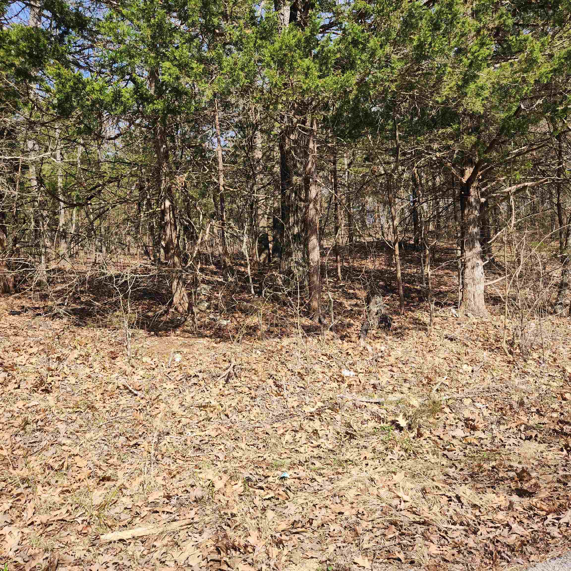 L-10, B-17 Hiawatha Drive Property Photo 9