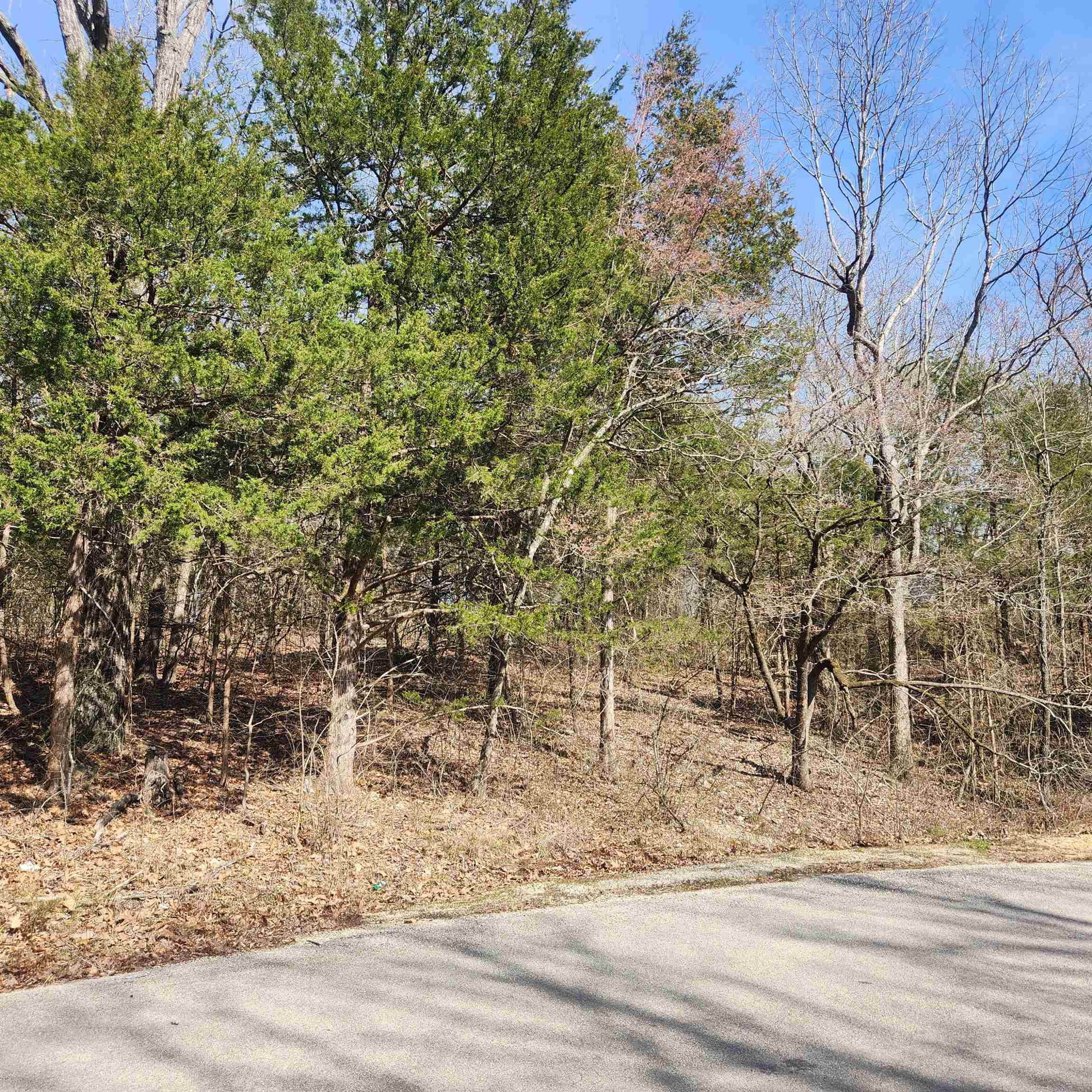 L-10, B-17 Hiawatha Drive Property Photo 10