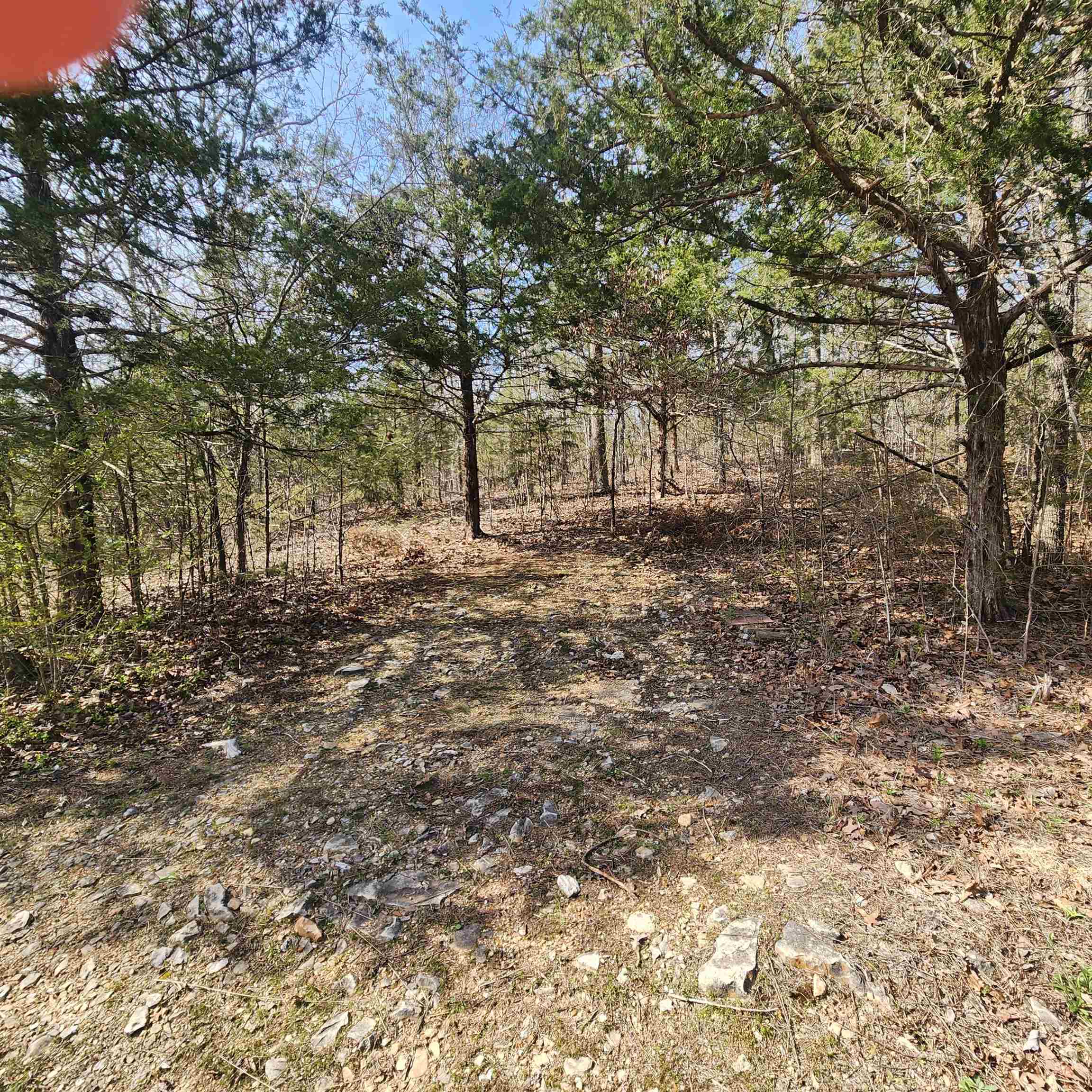 L-63, B-19 E Lakeshore Drive Property Photo 3