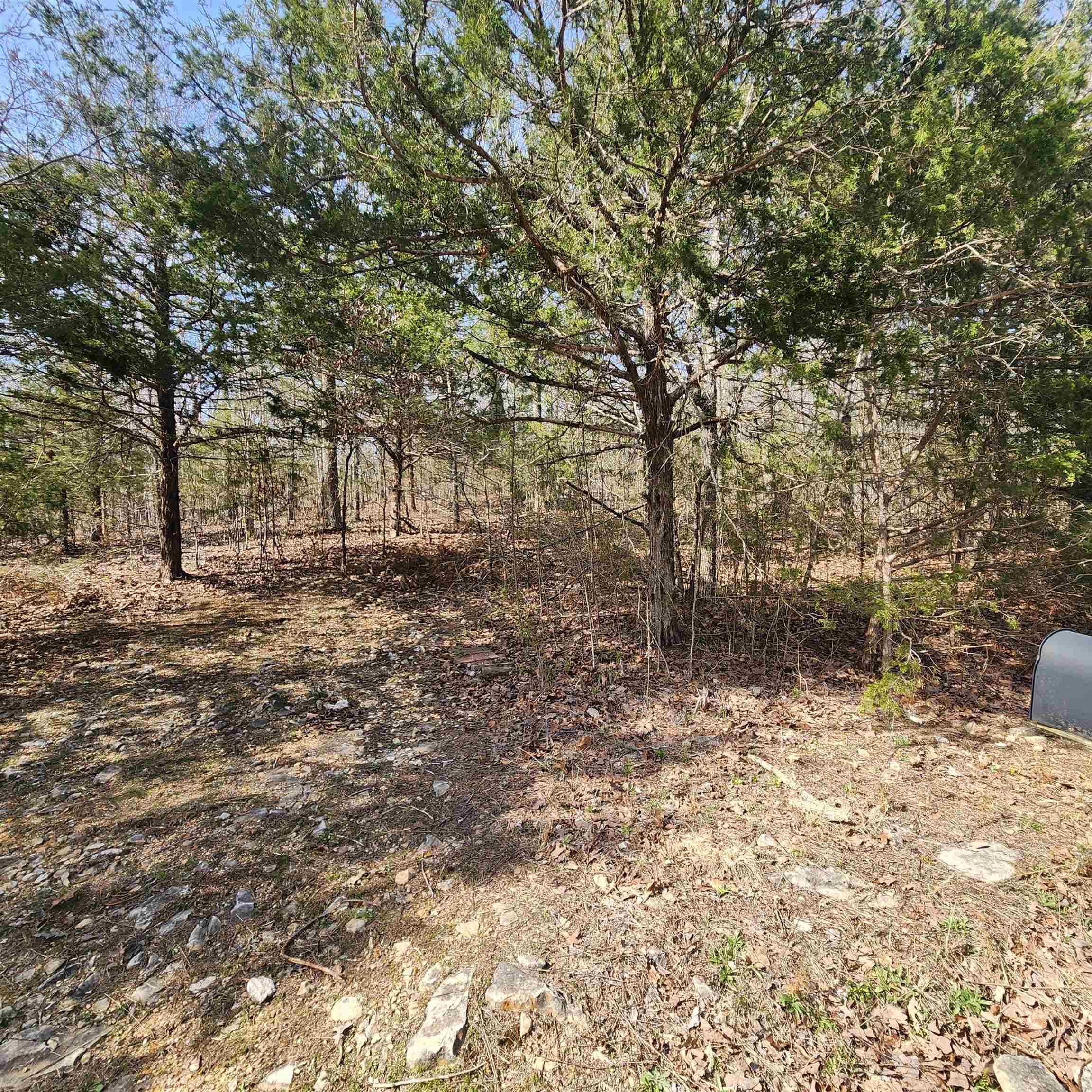 L-63, B-19 E Lakeshore Drive Property Photo 4