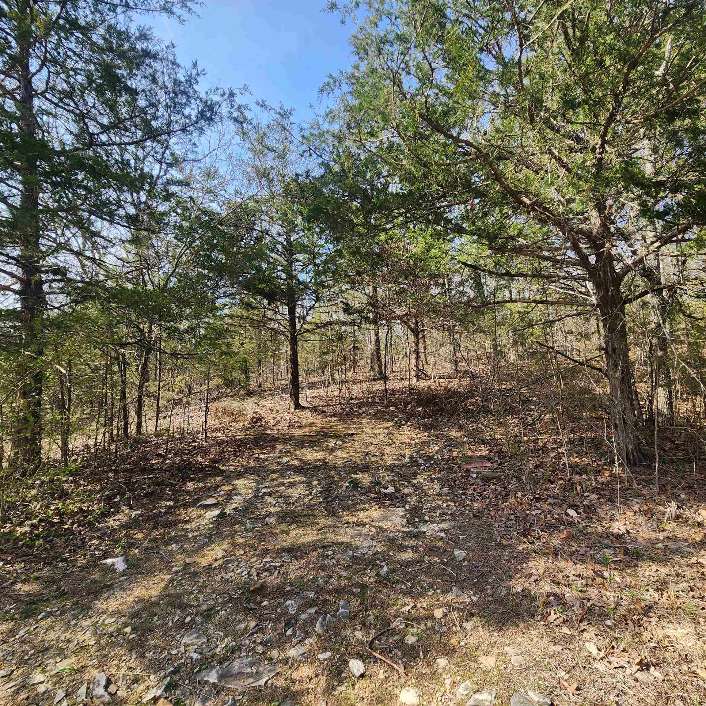 L-63, B-19 E Lakeshore Drive Property Photo 5