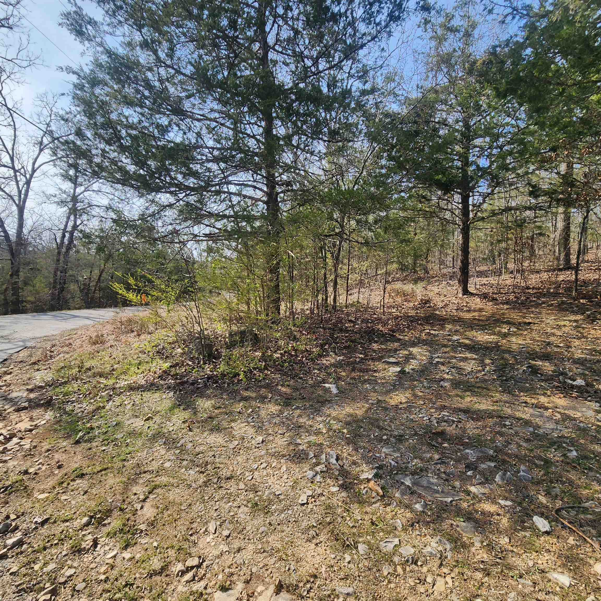 L-63, B-19 E Lakeshore Drive Property Photo 6