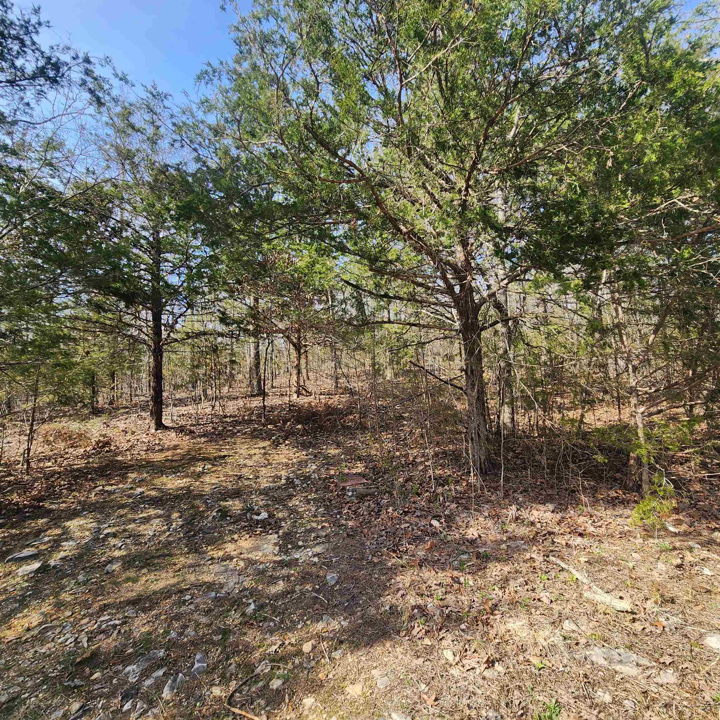 L-63, B-19 E Lakeshore Drive Property Photo 7