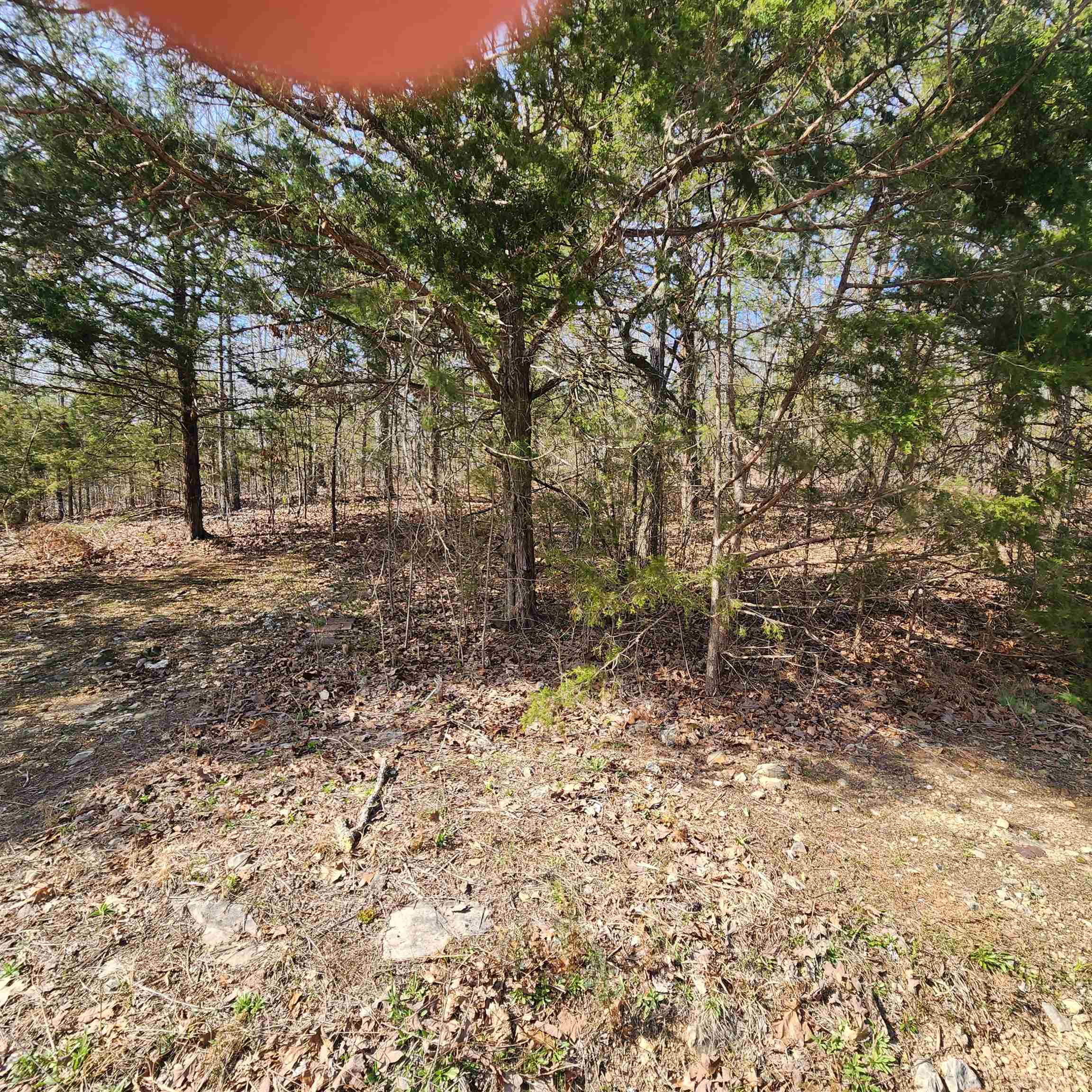 L-63, B-19 E Lakeshore Drive Property Photo 8