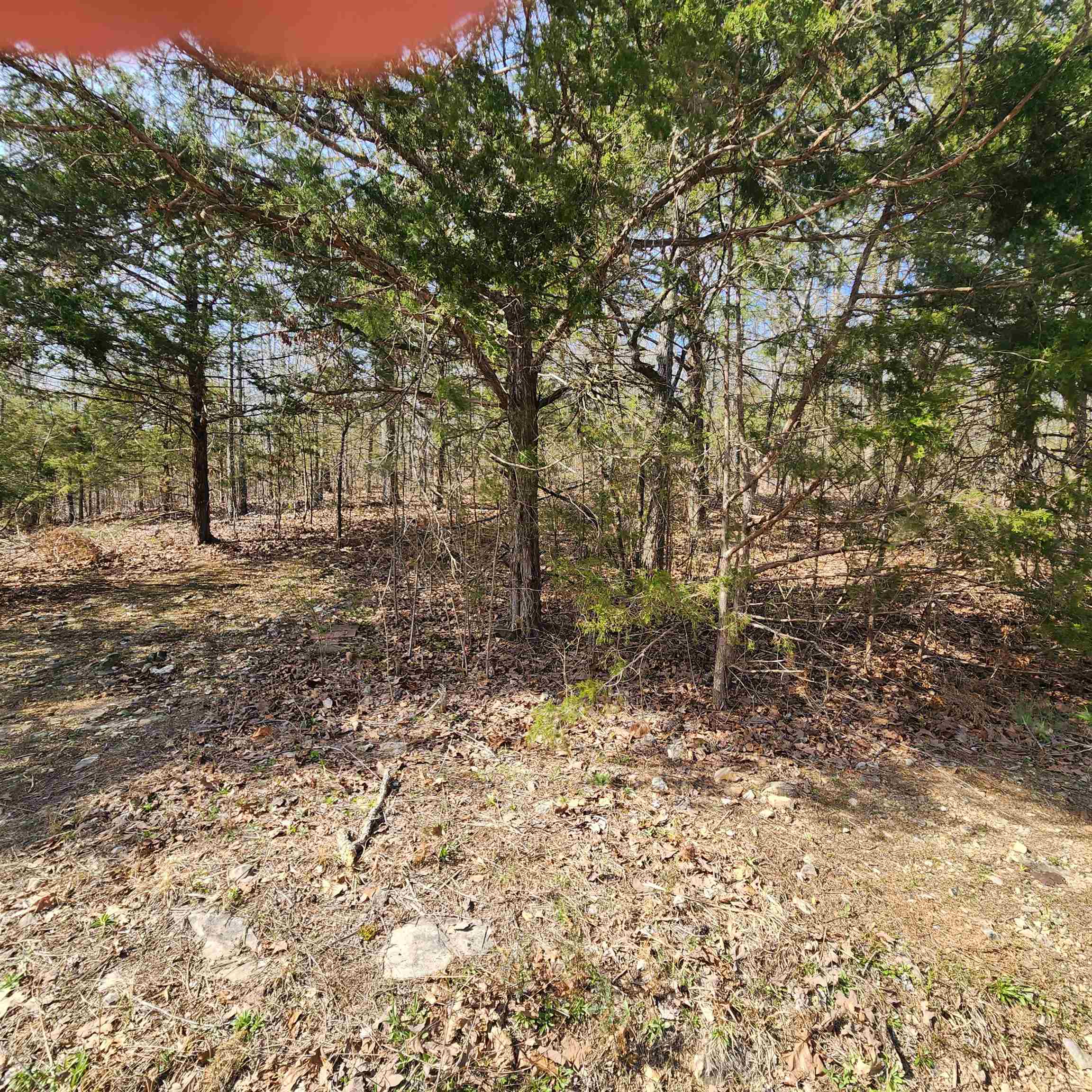 L-63, B-19 E Lakeshore Drive Property Photo 9