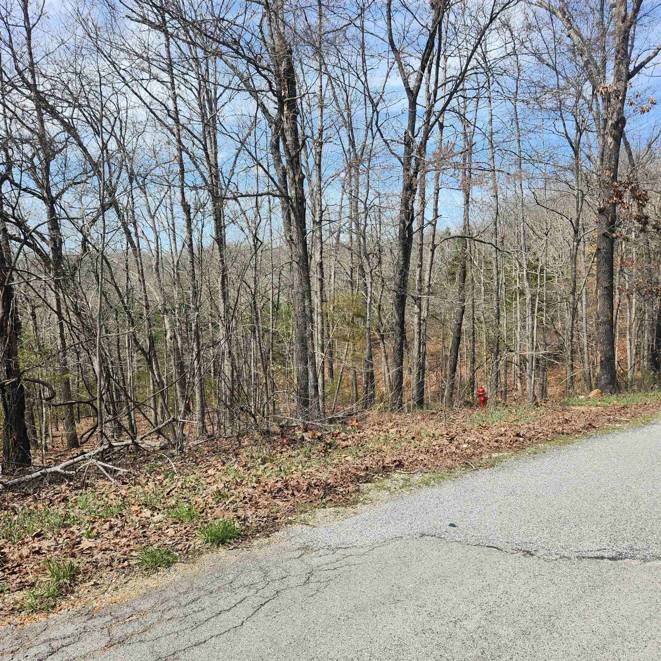 L-6, B11 Flathead Drive Property Photo 3