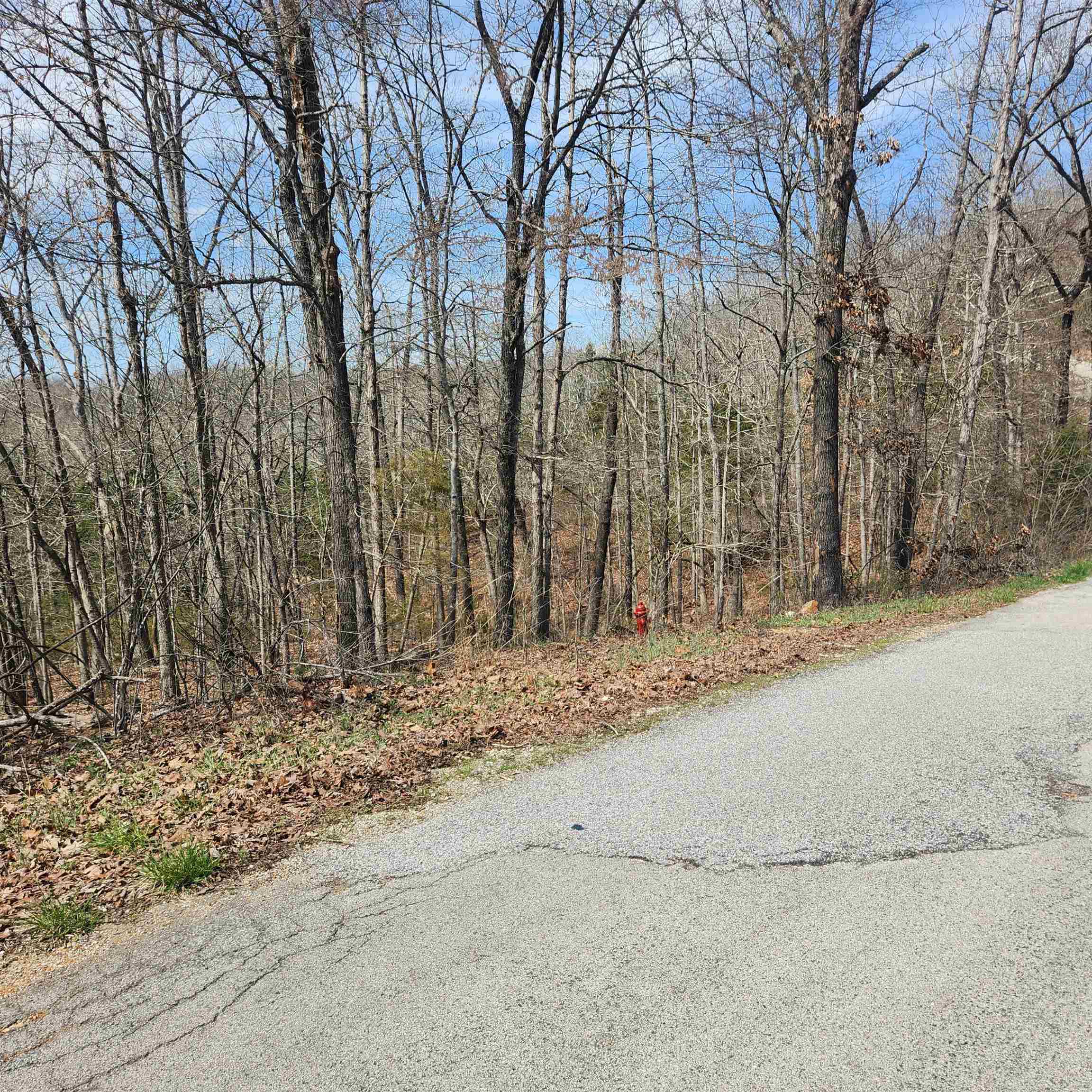 L-6, B11 Flathead Drive Property Photo 5