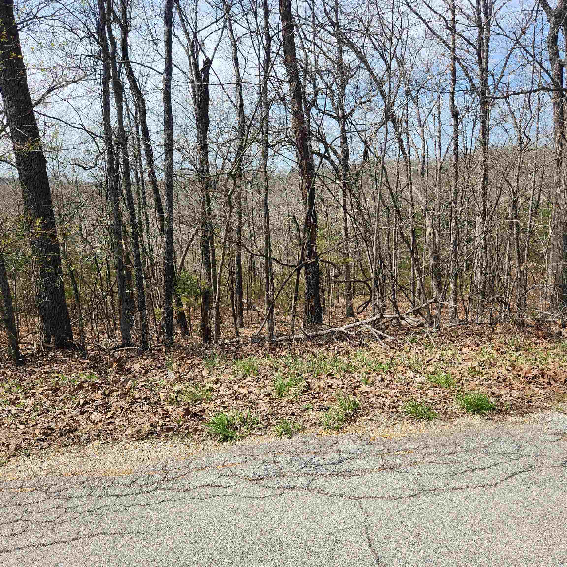 L-6, B11 Flathead Drive Property Photo 7