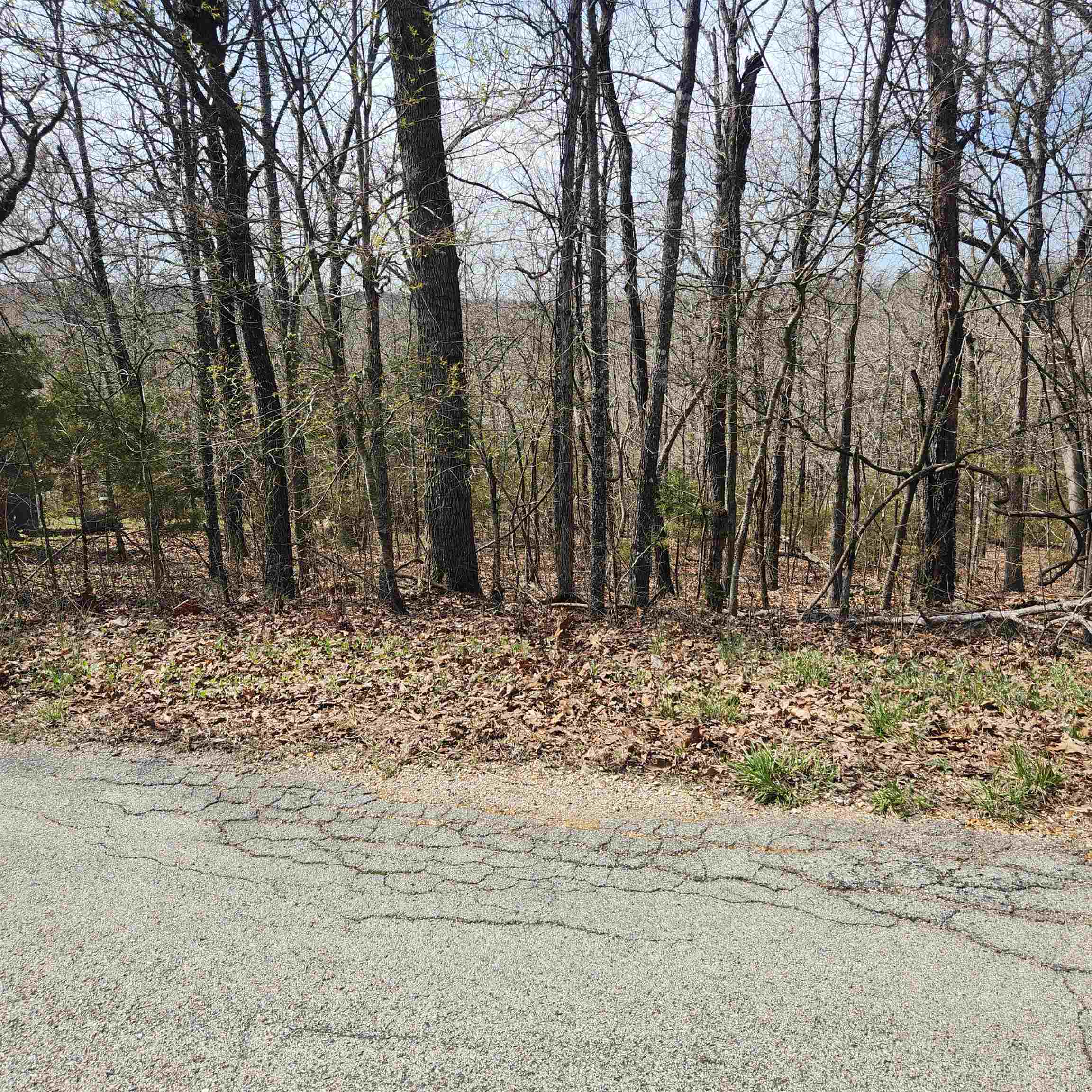 L-6, B11 Flathead Drive Property Photo 8