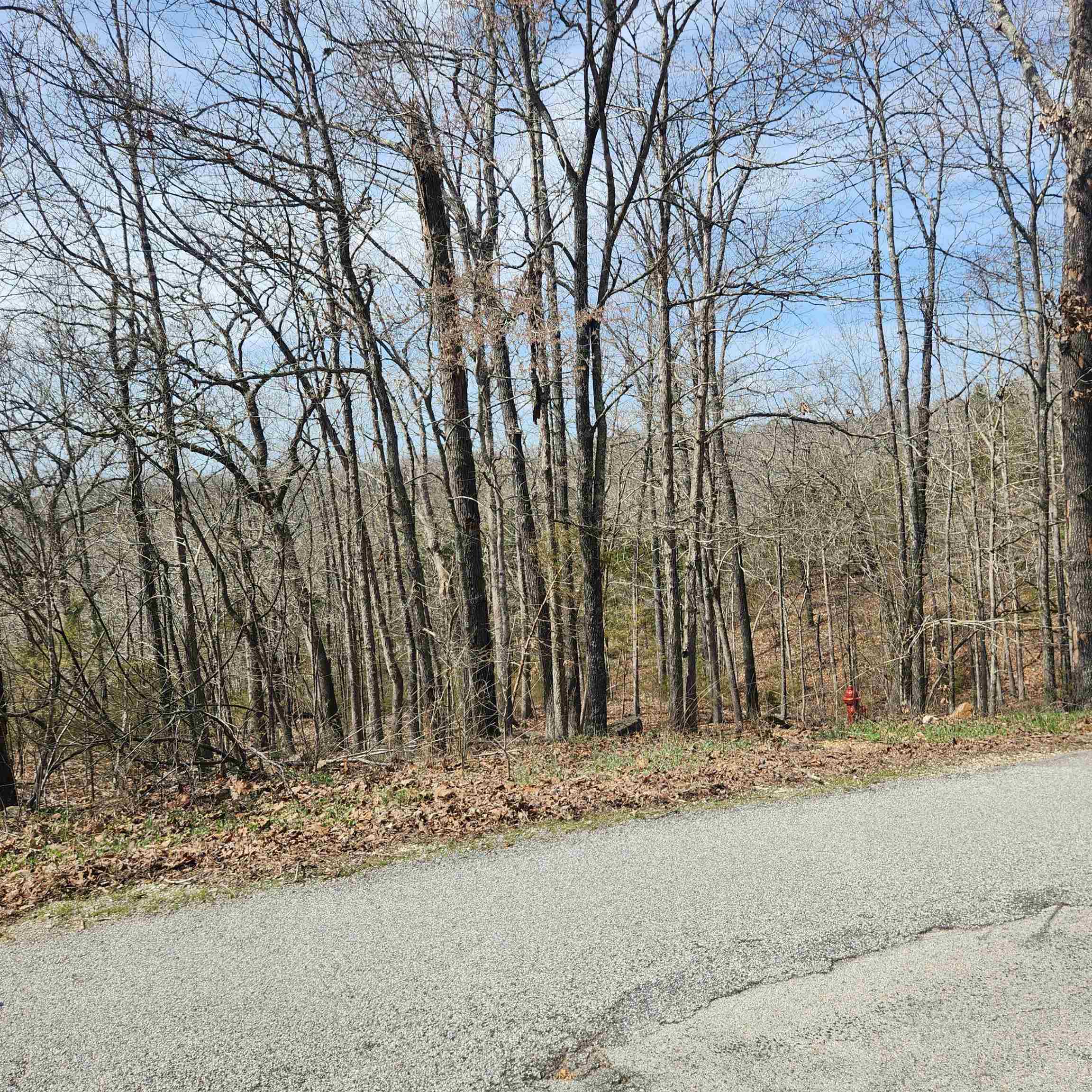 L-6, B11 Flathead Drive Property Photo 9