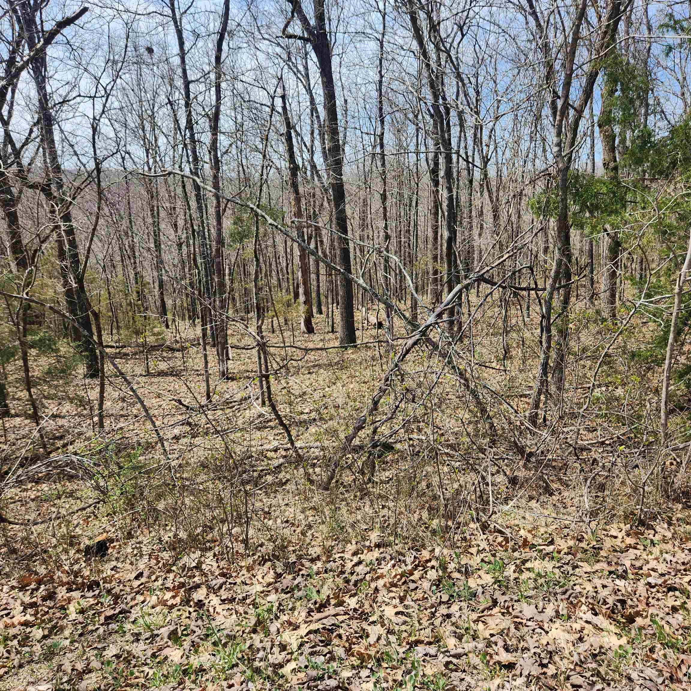 L-2 B-11 Flathead Drive Property Photo 1