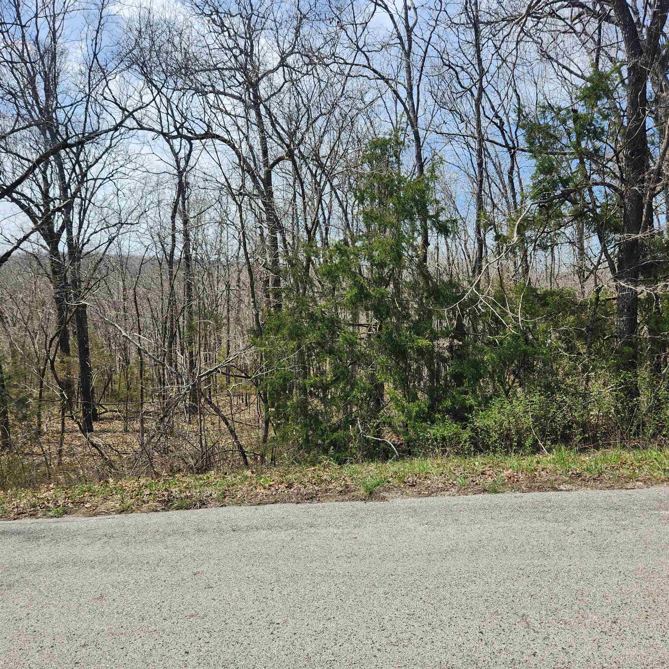 L-2 B-11 Flathead Drive Property Photo 2
