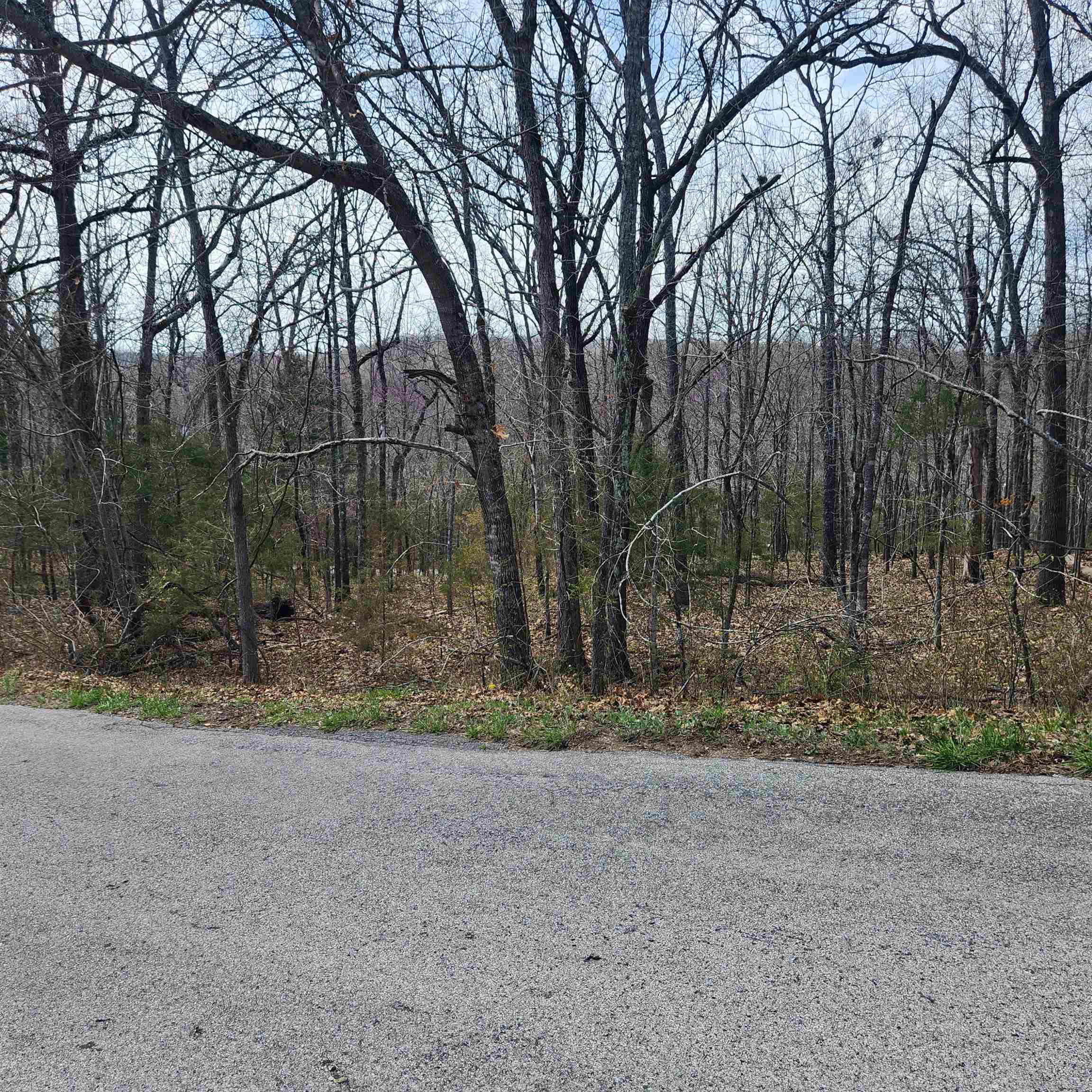 L-2 B-11 Flathead Drive Property Photo 3