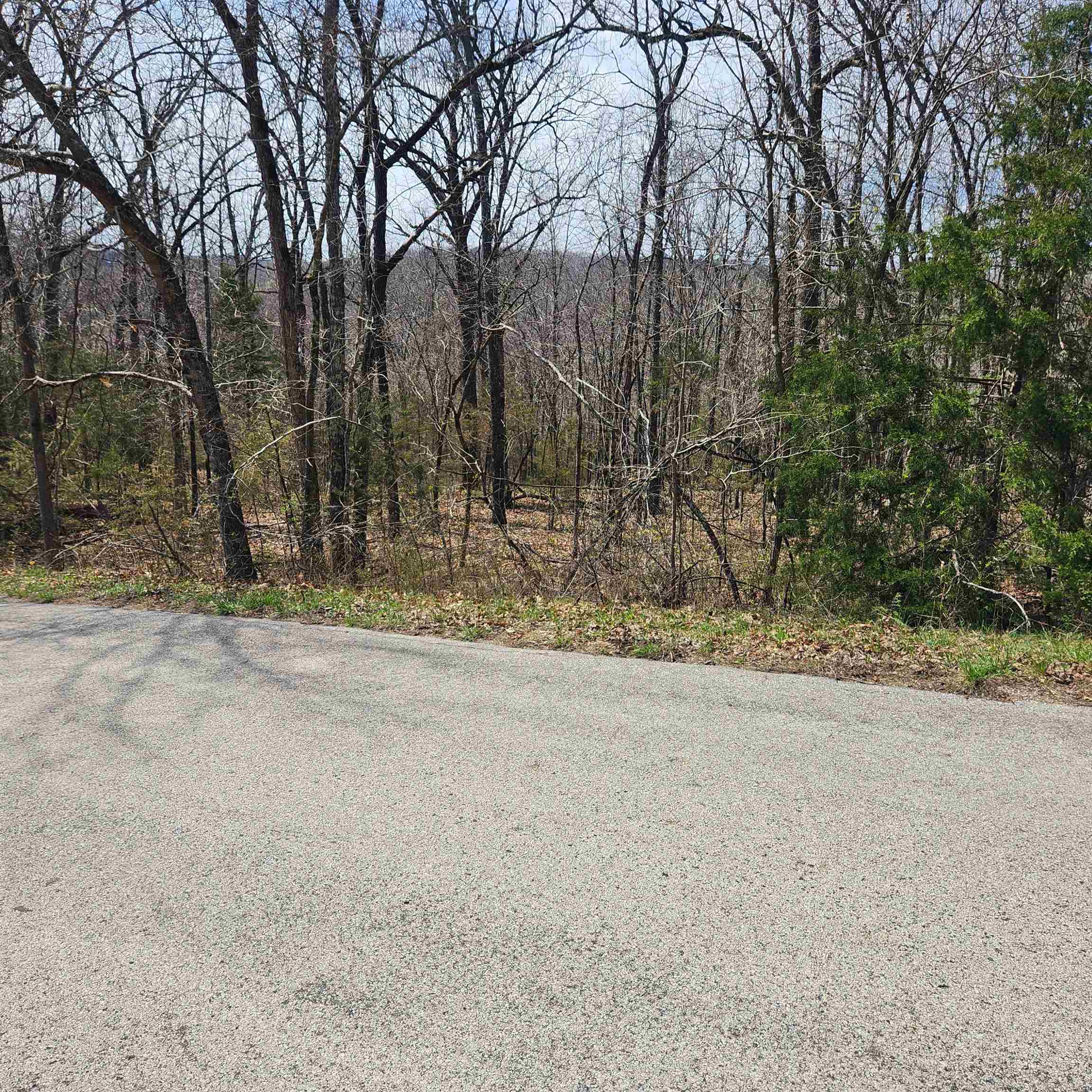 L-2 B-11 Flathead Drive Property Photo 5