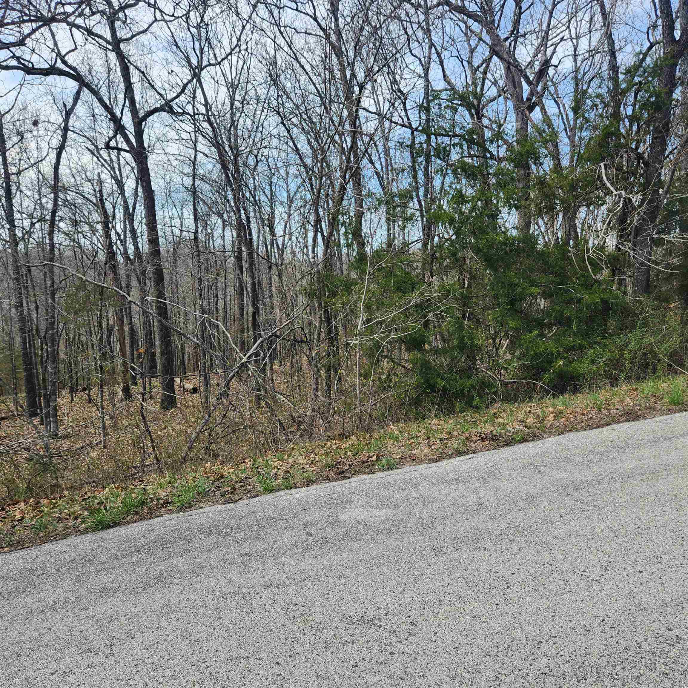 L-2 B-11 Flathead Drive Property Photo 9