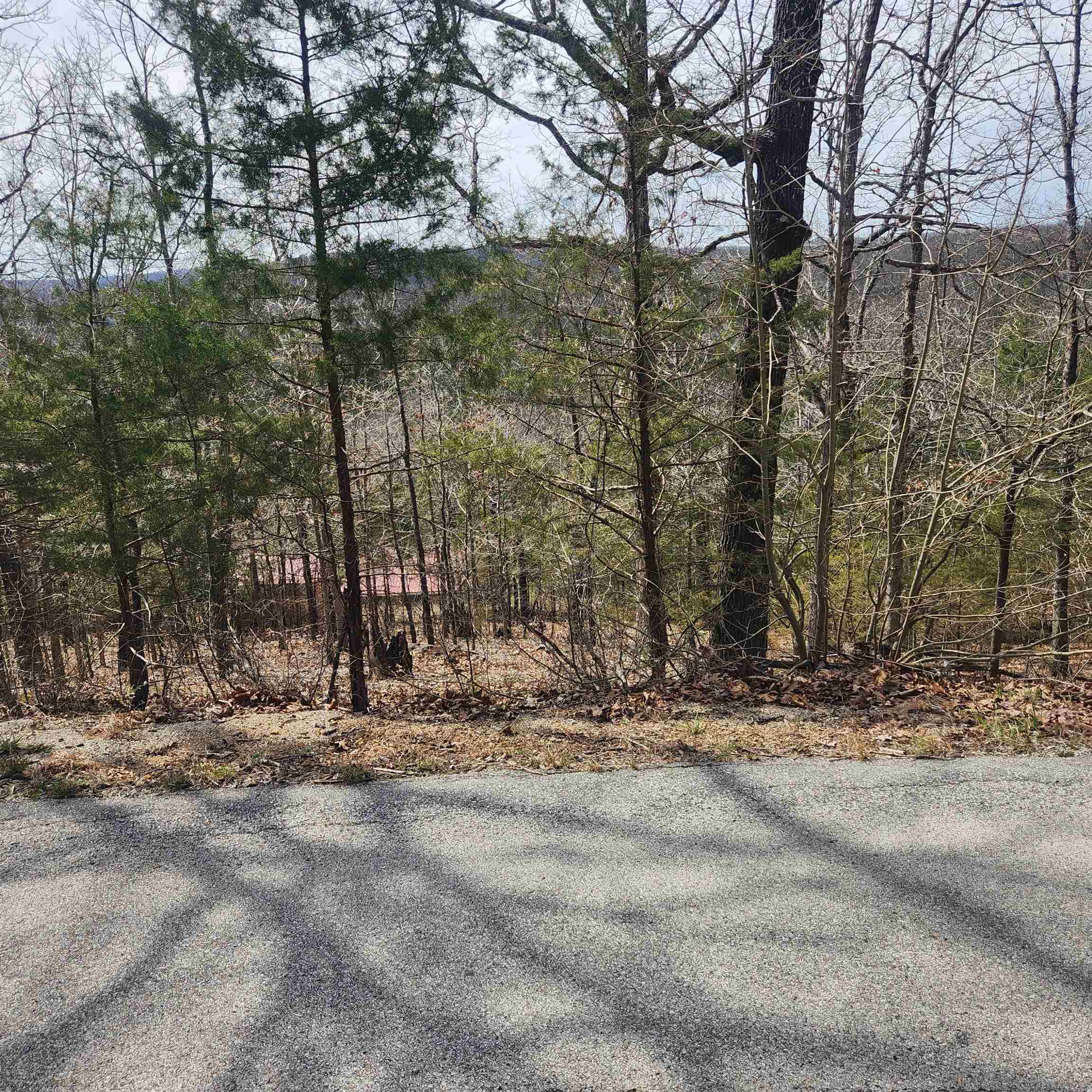 L-13, B11 Flathead Drive Property Photo 2