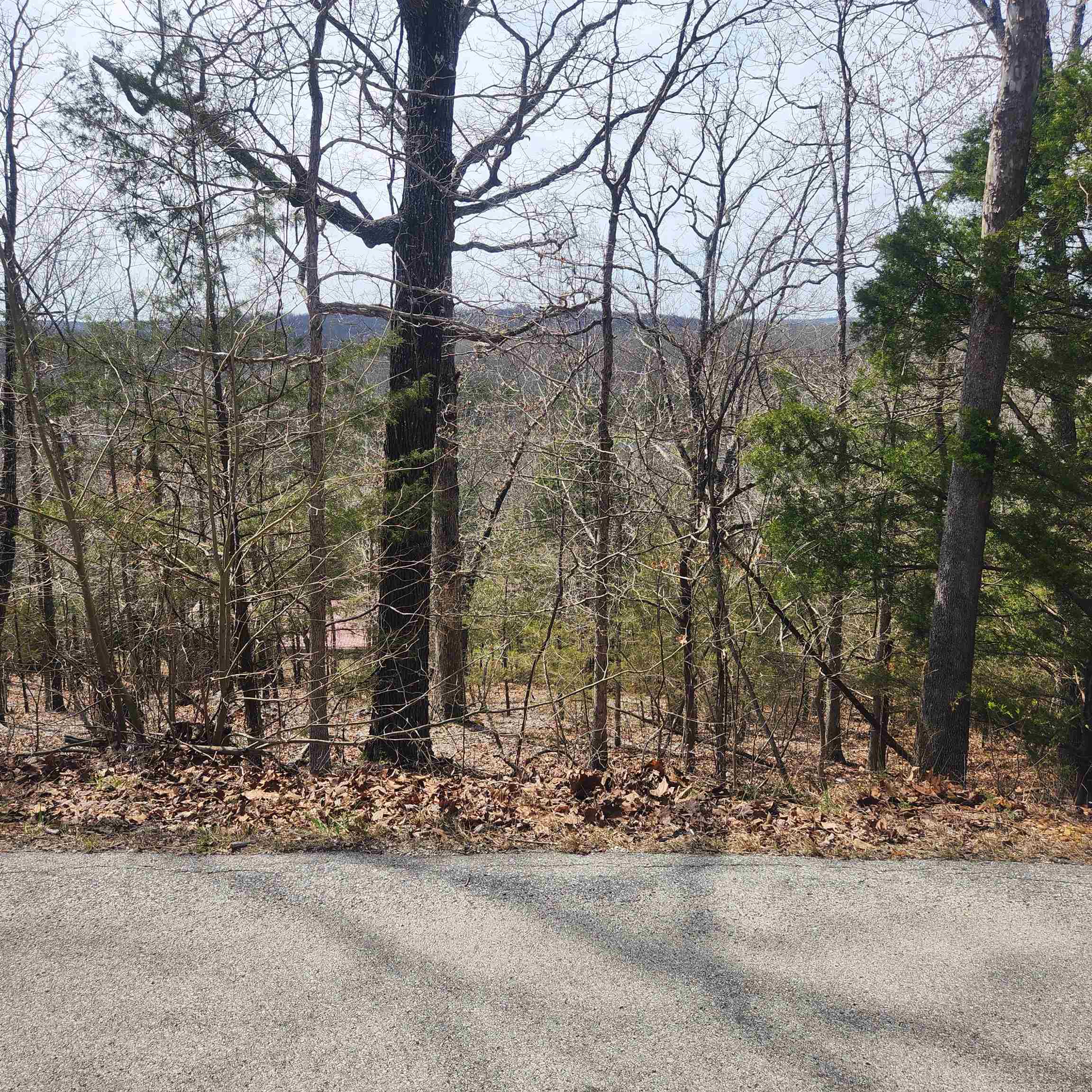 L-13, B11 Flathead Drive Property Photo 7