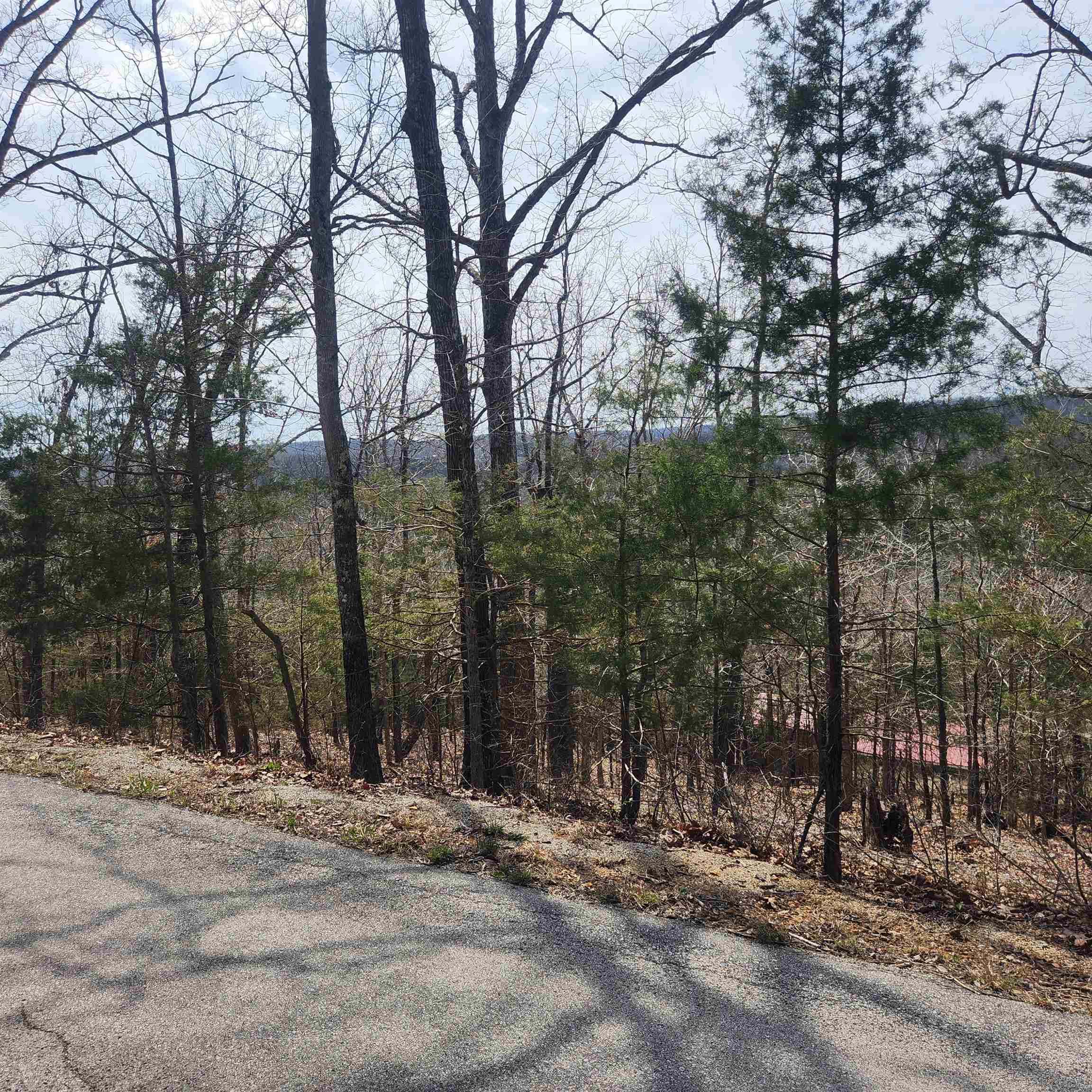L-13, B11 Flathead Drive Property Photo 8