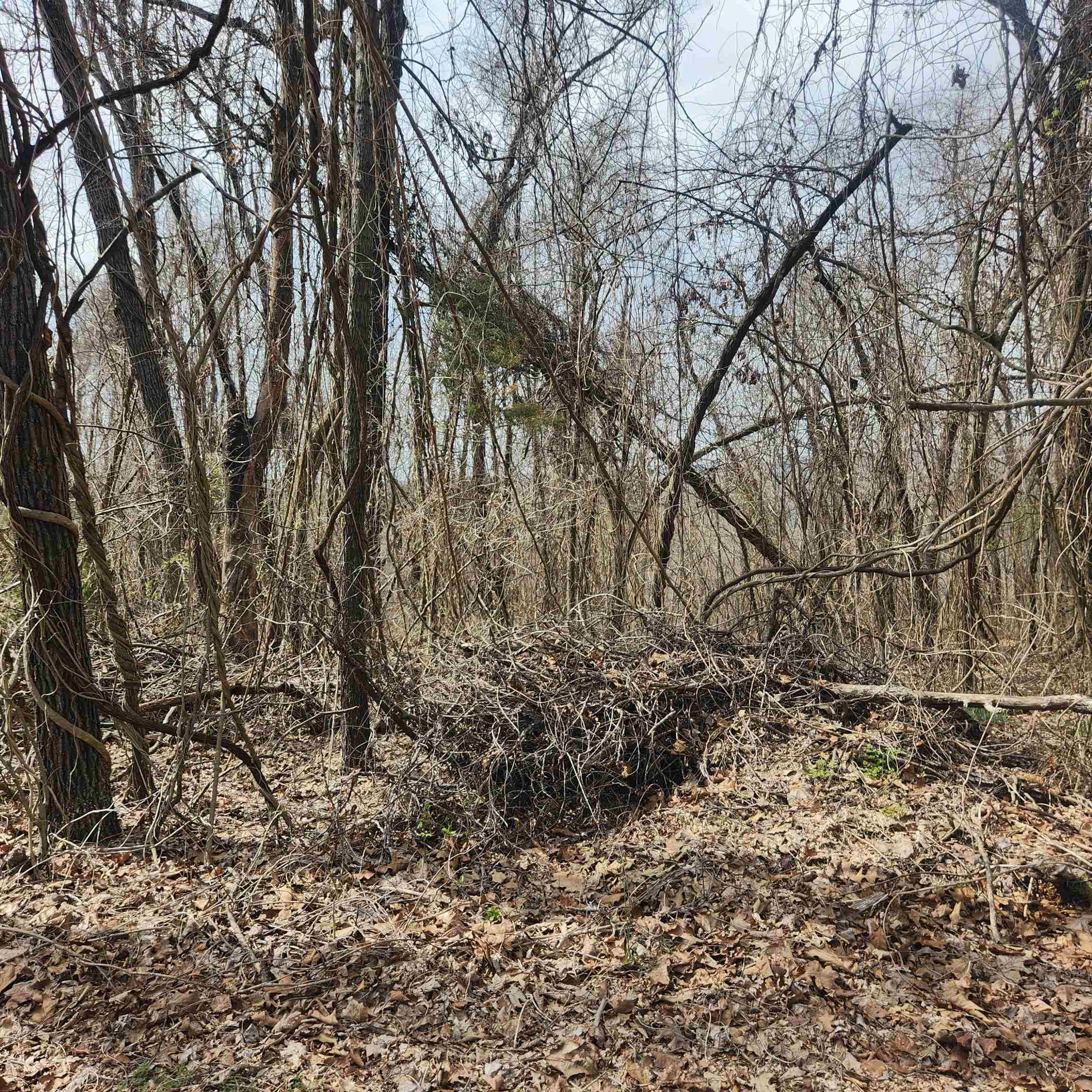 L-1, B-9 Hiawatha Drive Property Photo 2