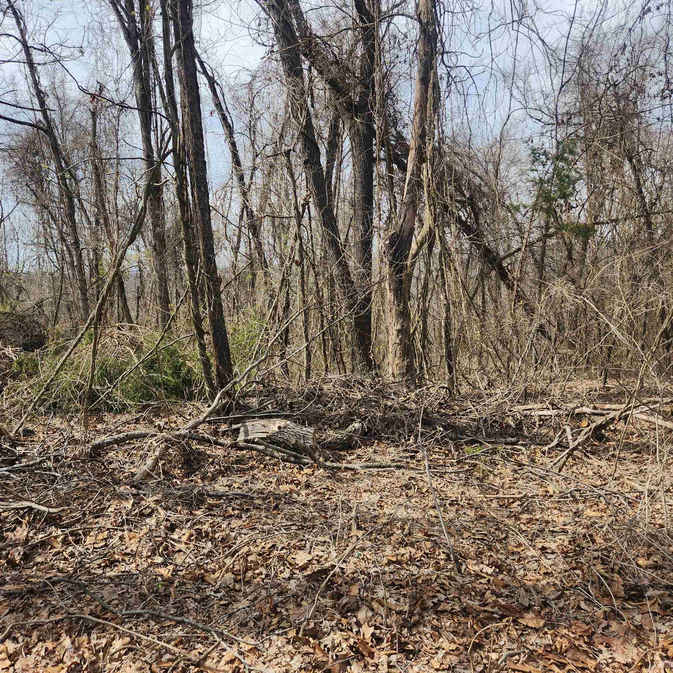 L-1, B-9 Hiawatha Drive Property Photo 3