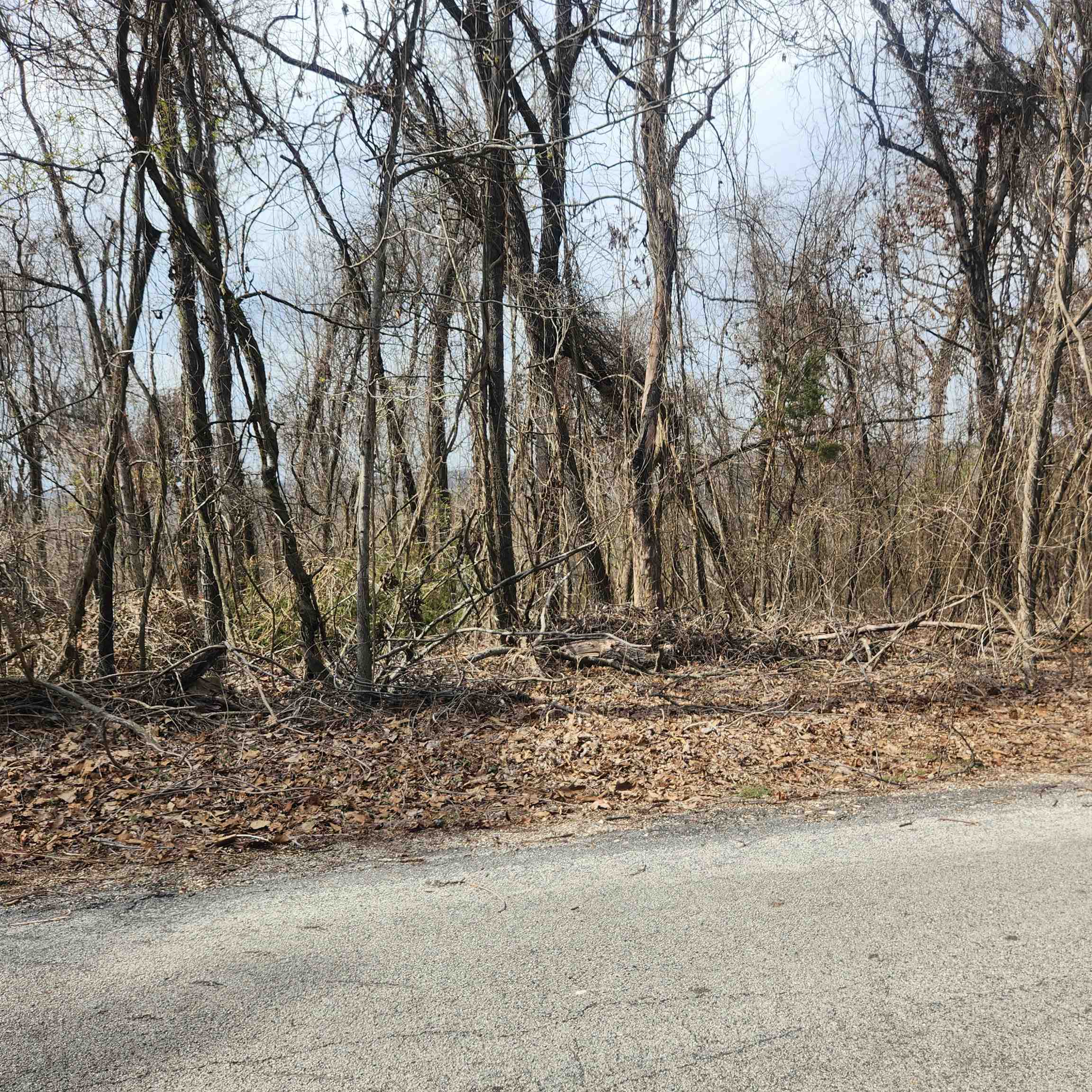 L-1, B-9 Hiawatha Drive Property Photo 4